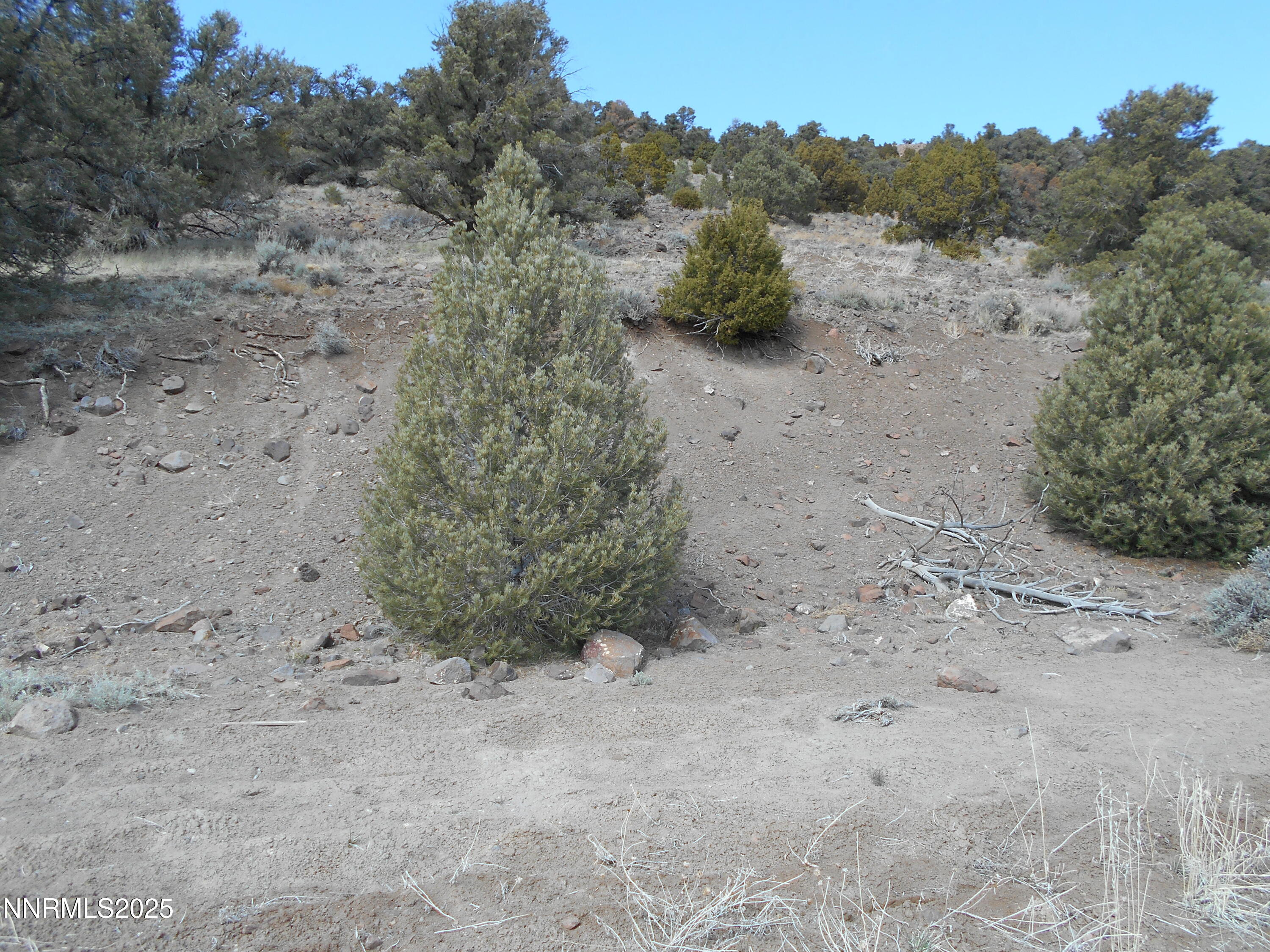2050 Scorpion Road Property Photo 5