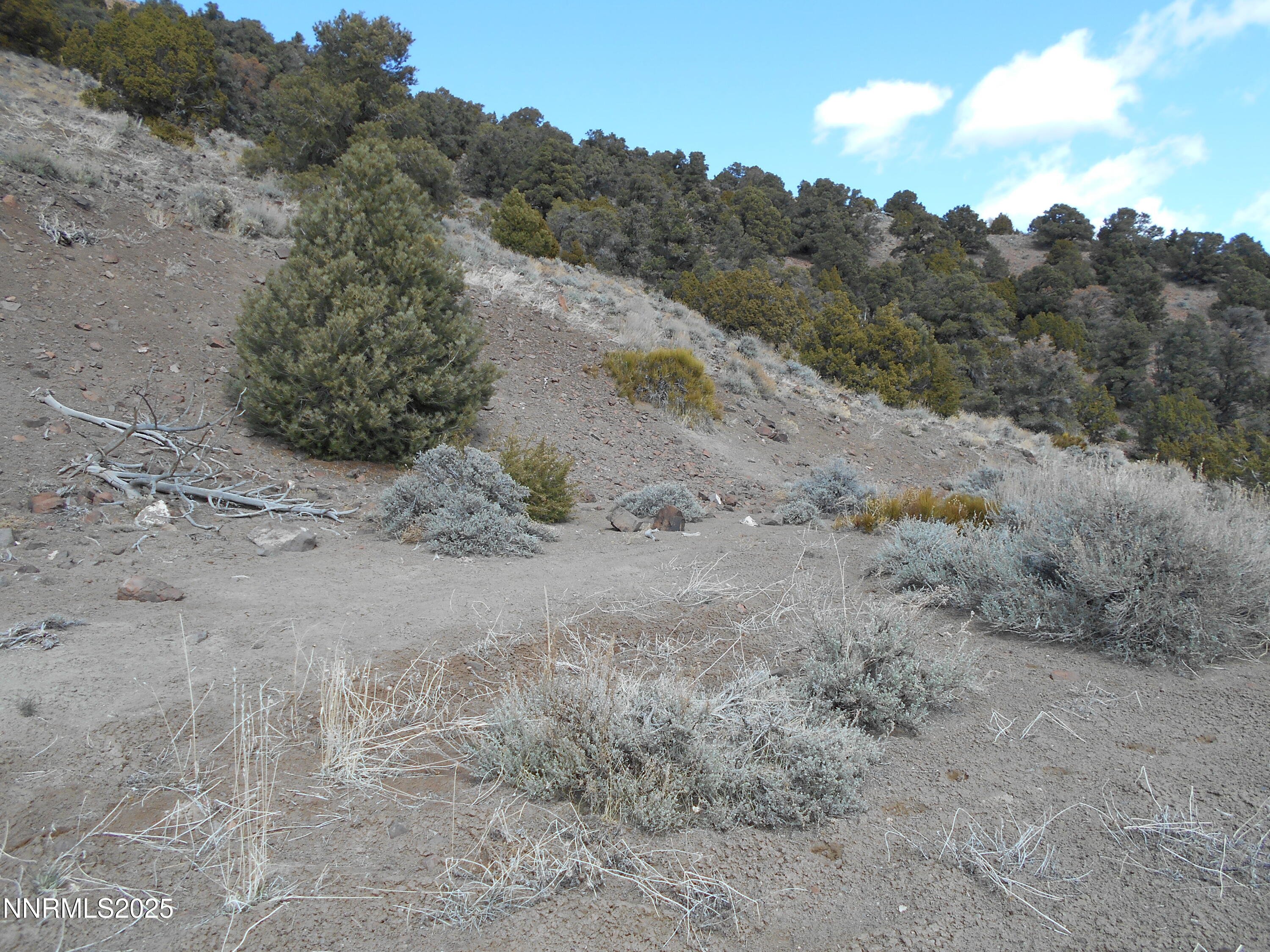 2050 Scorpion Road Property Photo 6