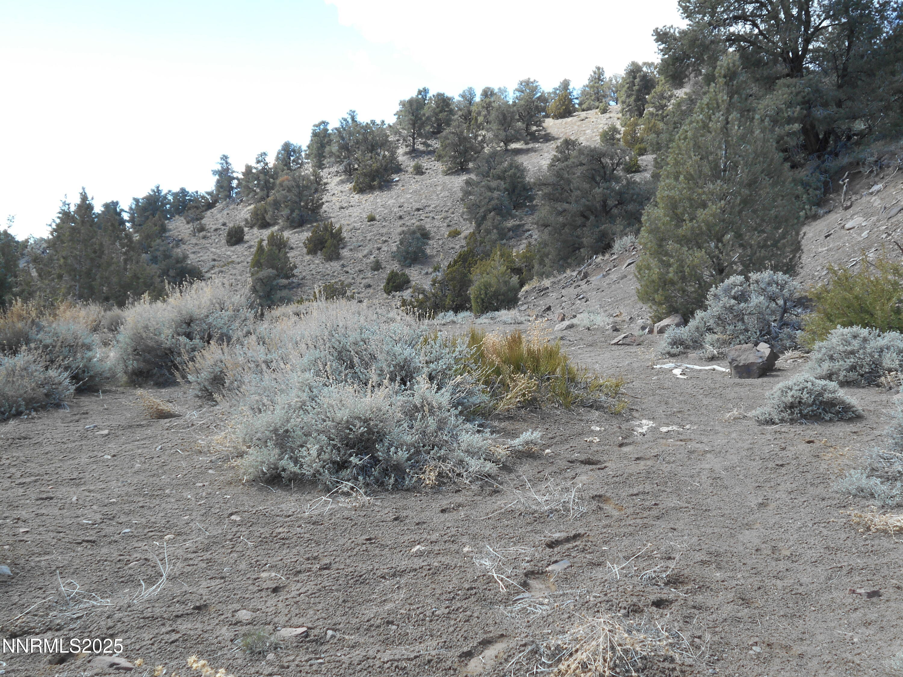 2050 Scorpion Road Property Photo 11