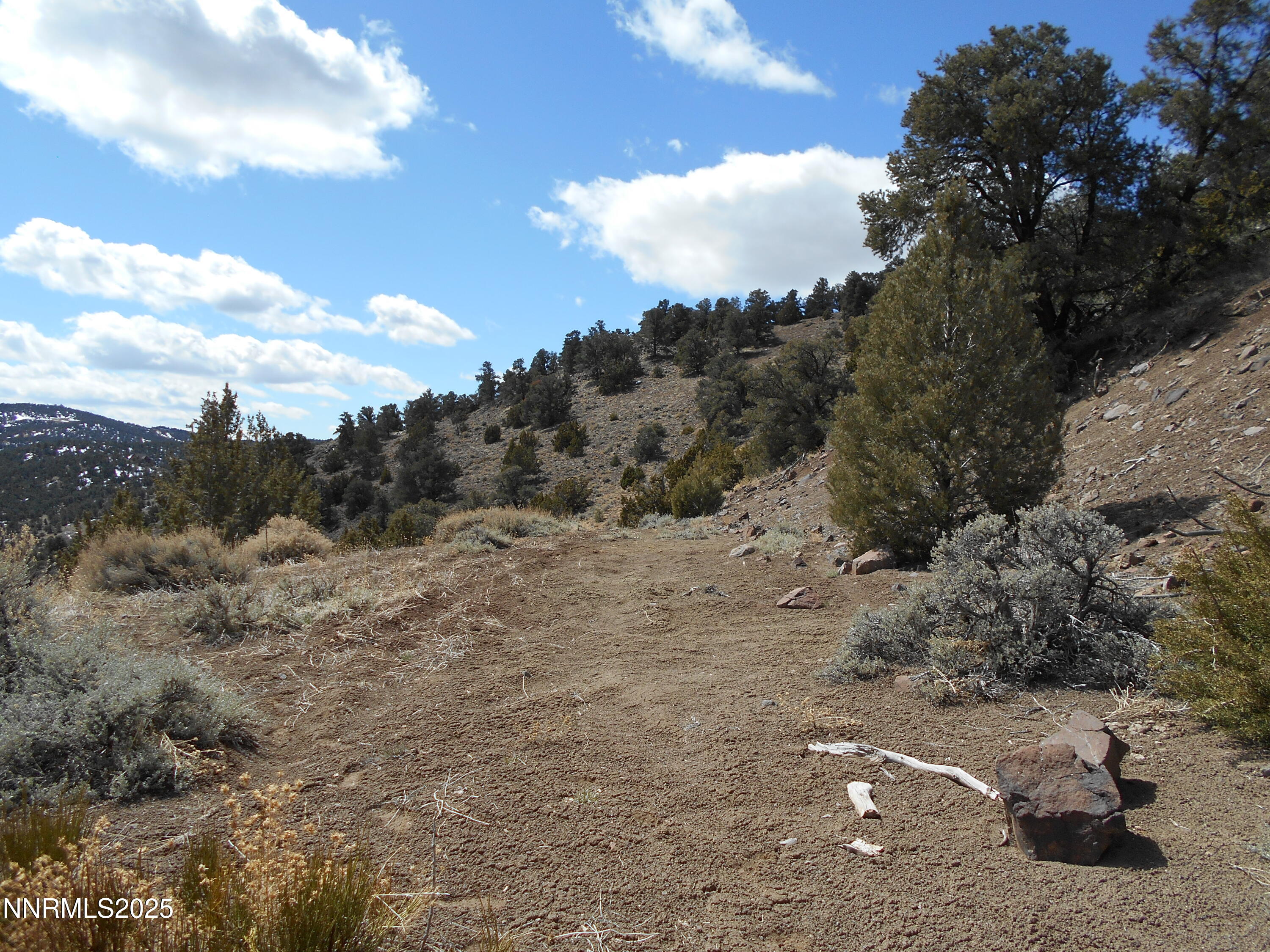 2050 Scorpion Road Property Photo 15