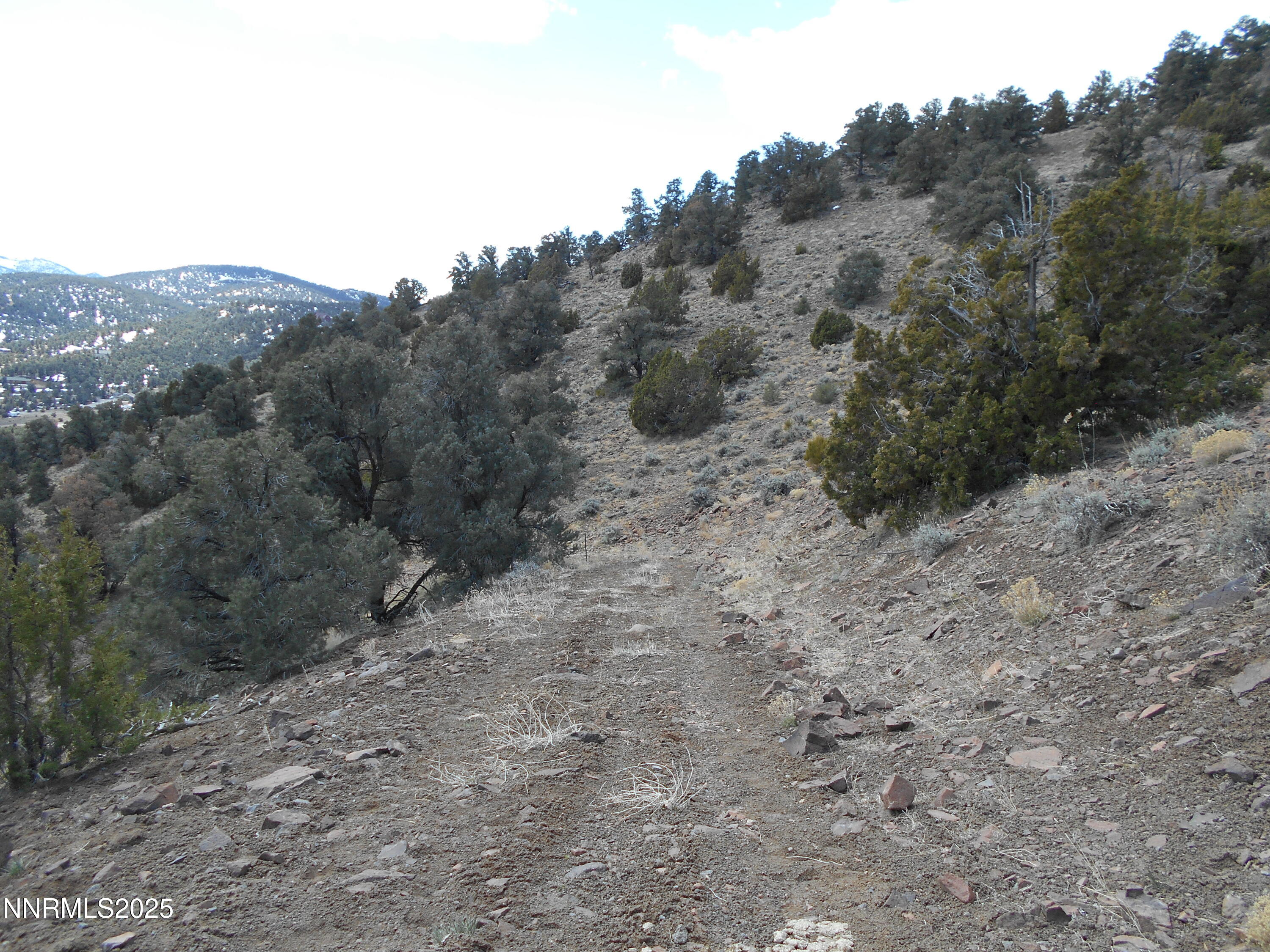 2050 Scorpion Road Property Photo 16