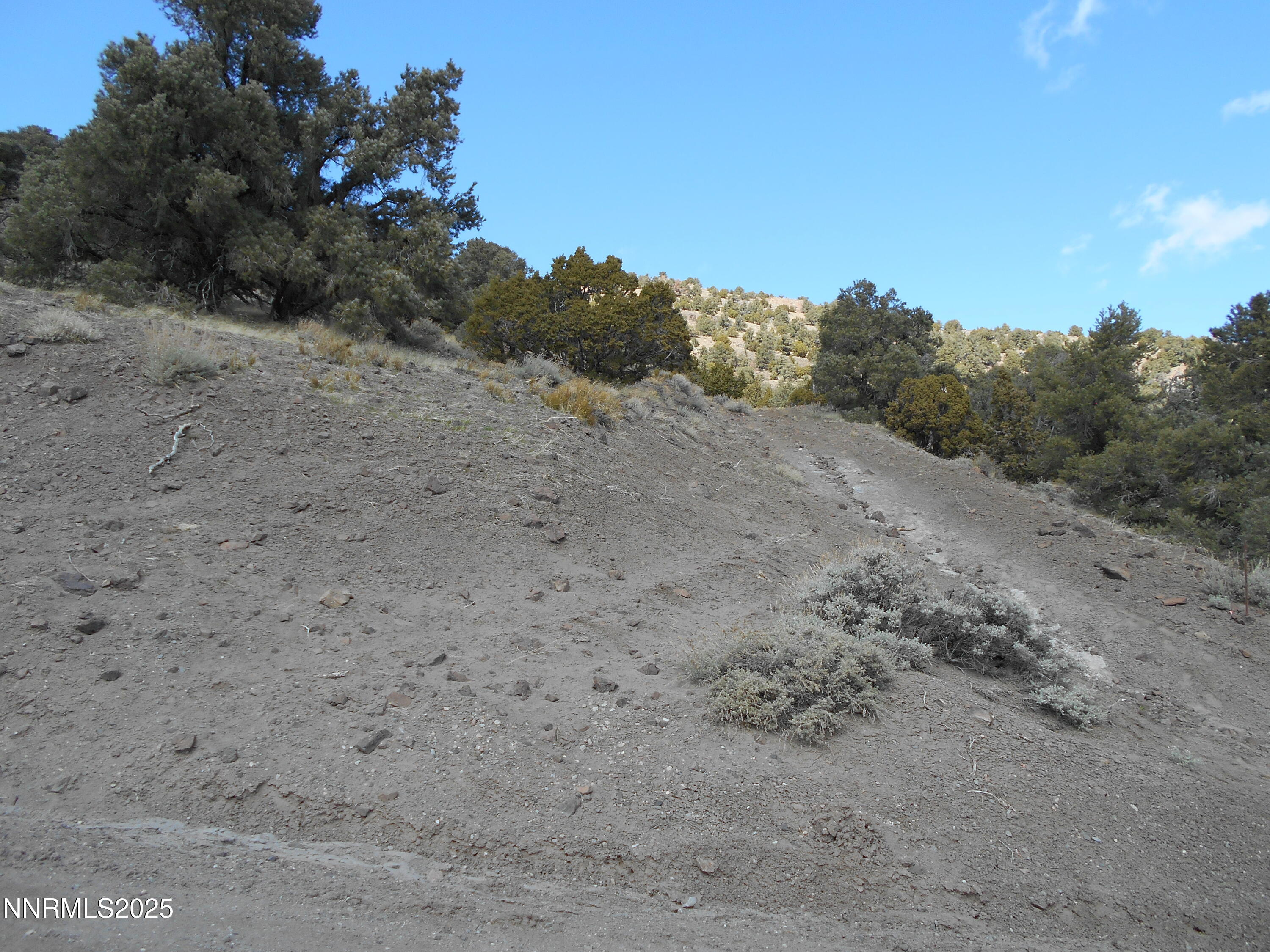 2050 Scorpion Road Property Photo 18