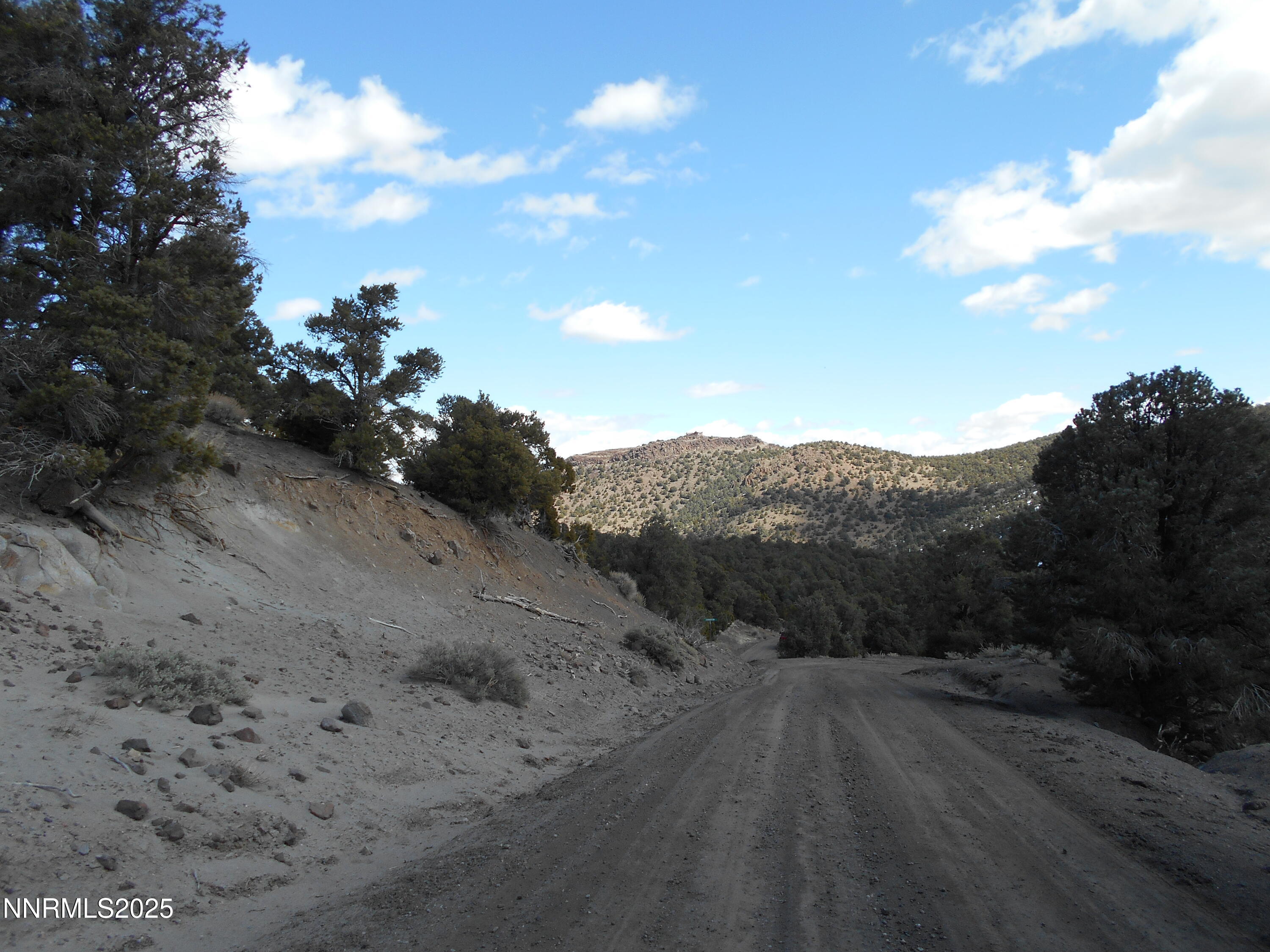 2050 Scorpion Road Property Photo 21