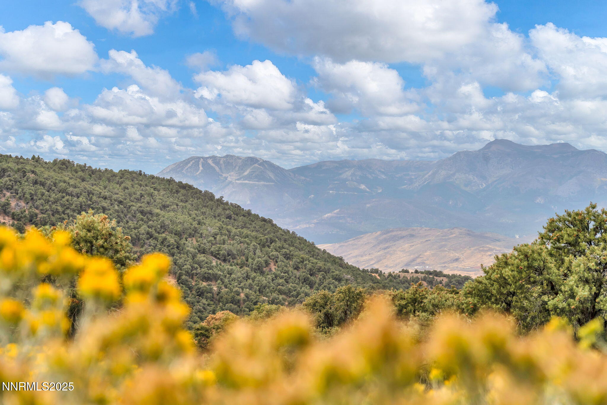 1300 Yellow Jacket Road Property Photo 18