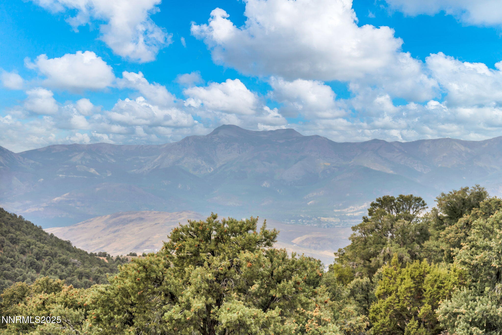 1300 Yellow Jacket Road Property Photo 65