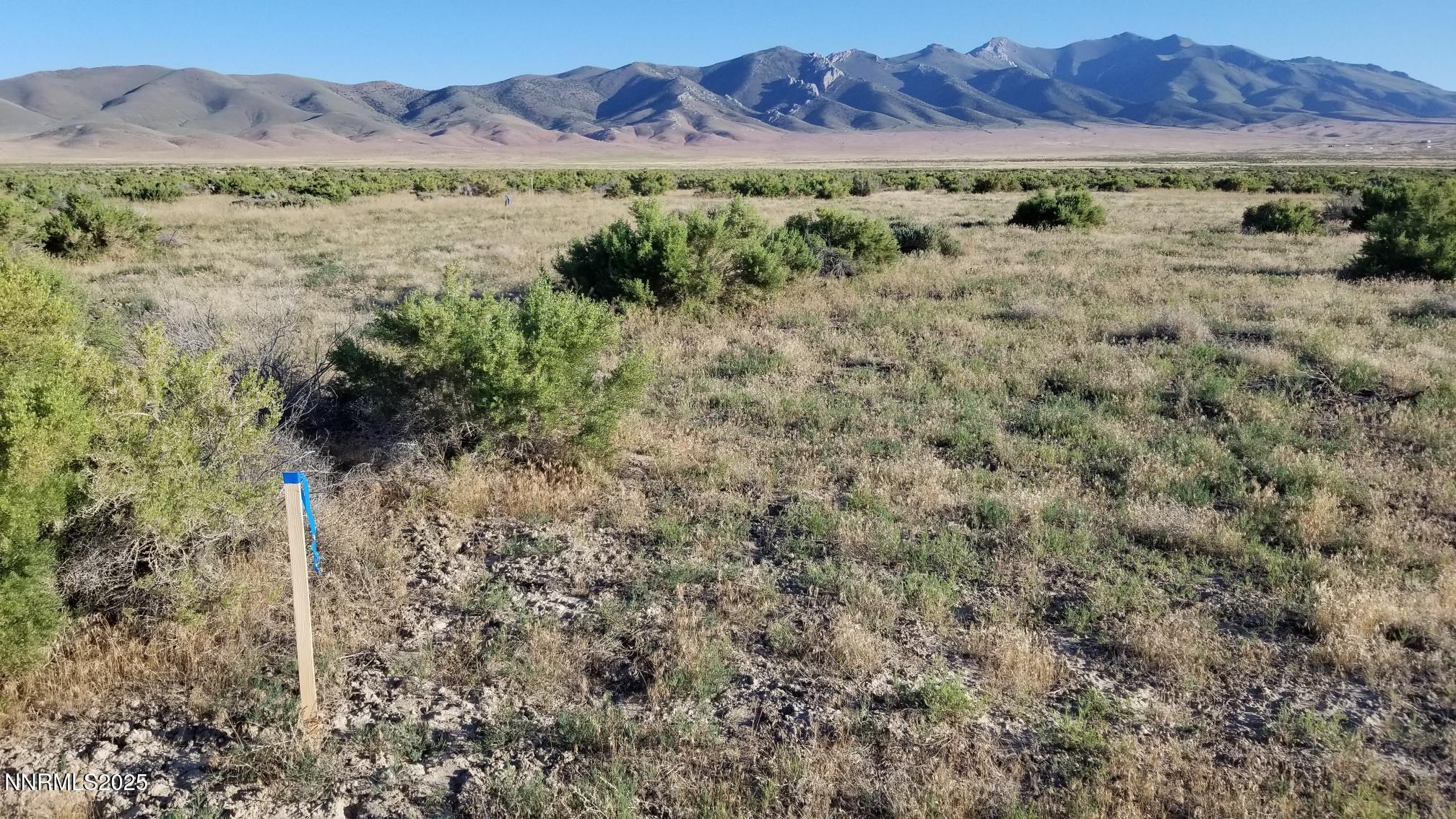 00827021 E Star Peak Rd Property Photo 6