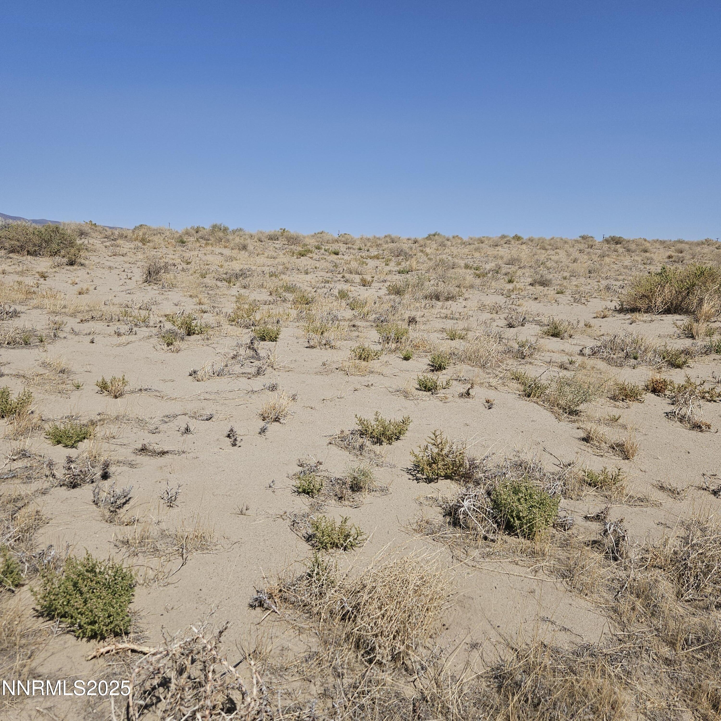 1590 E Badger Street Property Photo 4