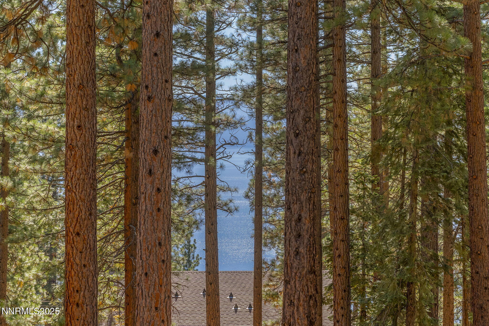 563 Tyner Way Property Photo 42