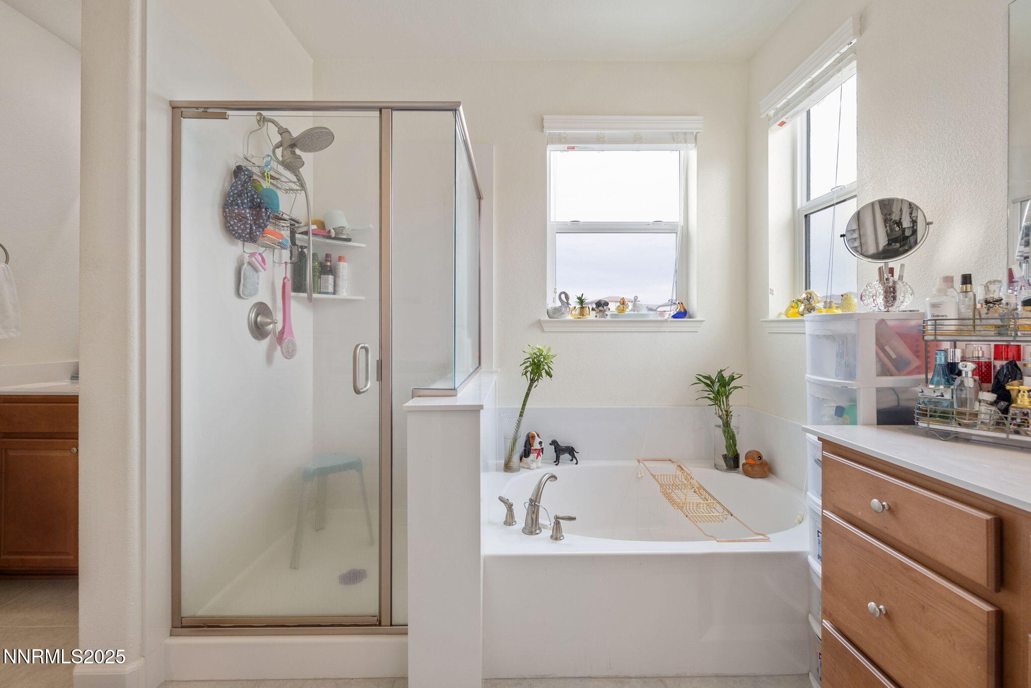 3215 Pantheon Drive Property Photo 22