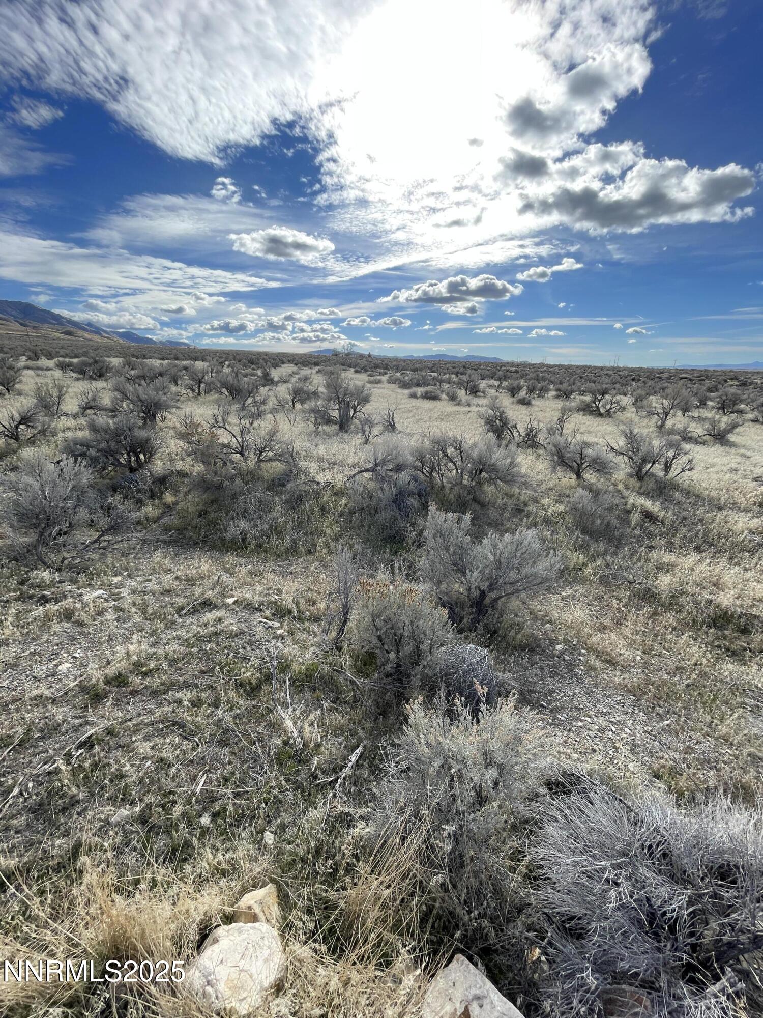 17200 Kirk Road Property Photo 2