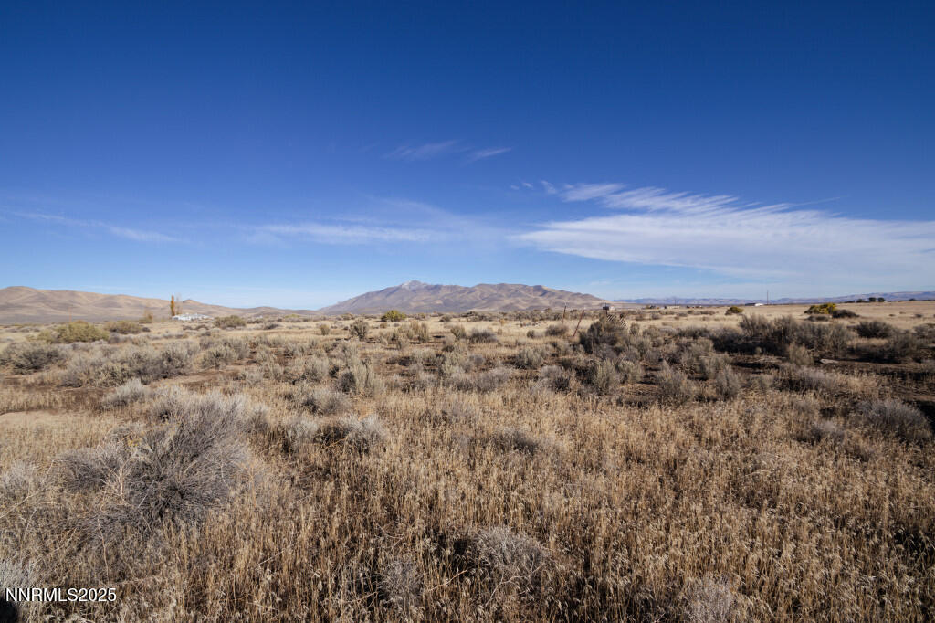 0 Western Horizon Drive Property Photo 8