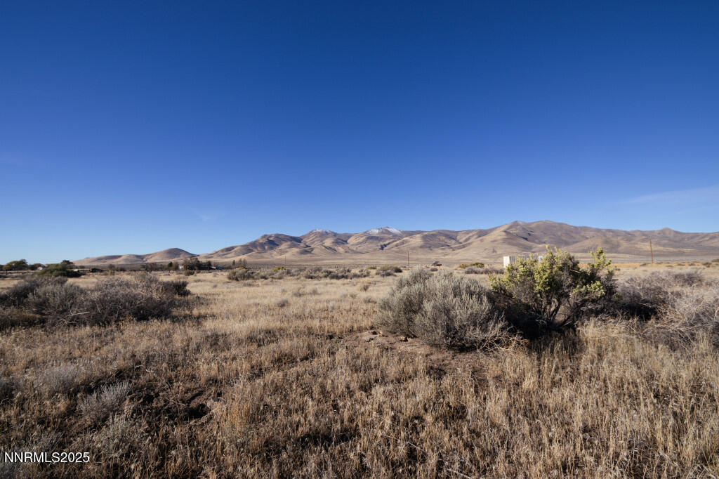 0 Western Horizon Drive Property Photo 9