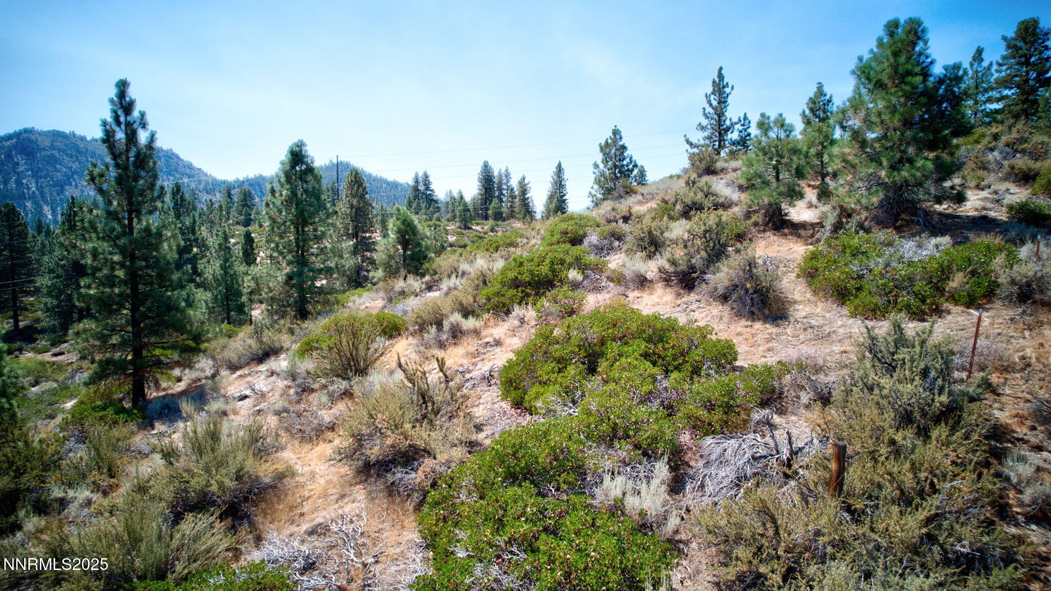 5645 Us Highway 50 Property Photo 9