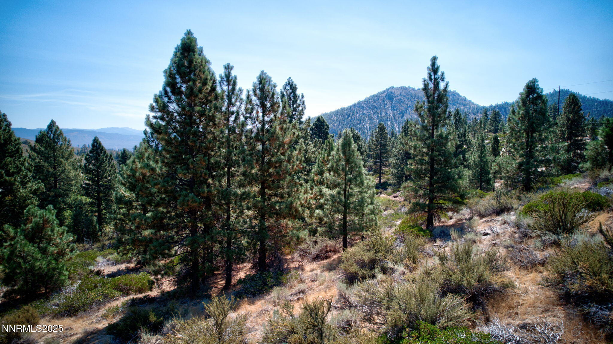 5645 Us Highway 50 Property Photo 10