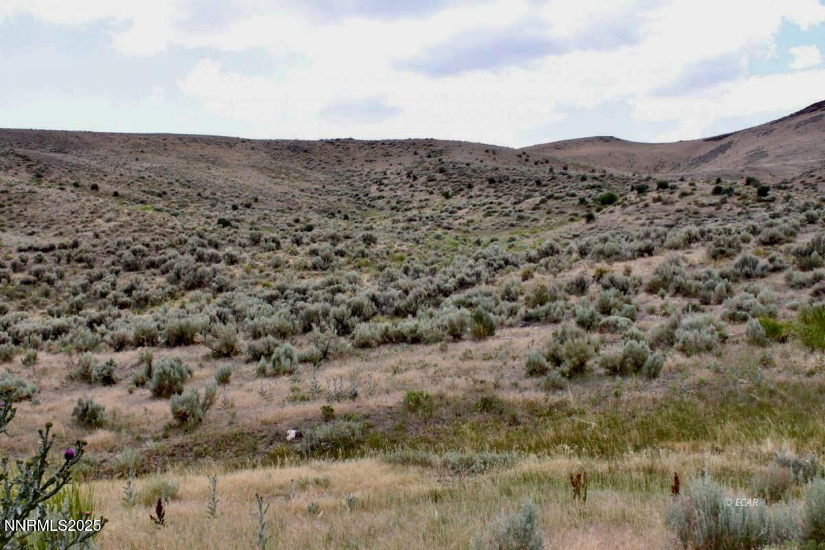 1992 Snowbowl Road Property Photo 2