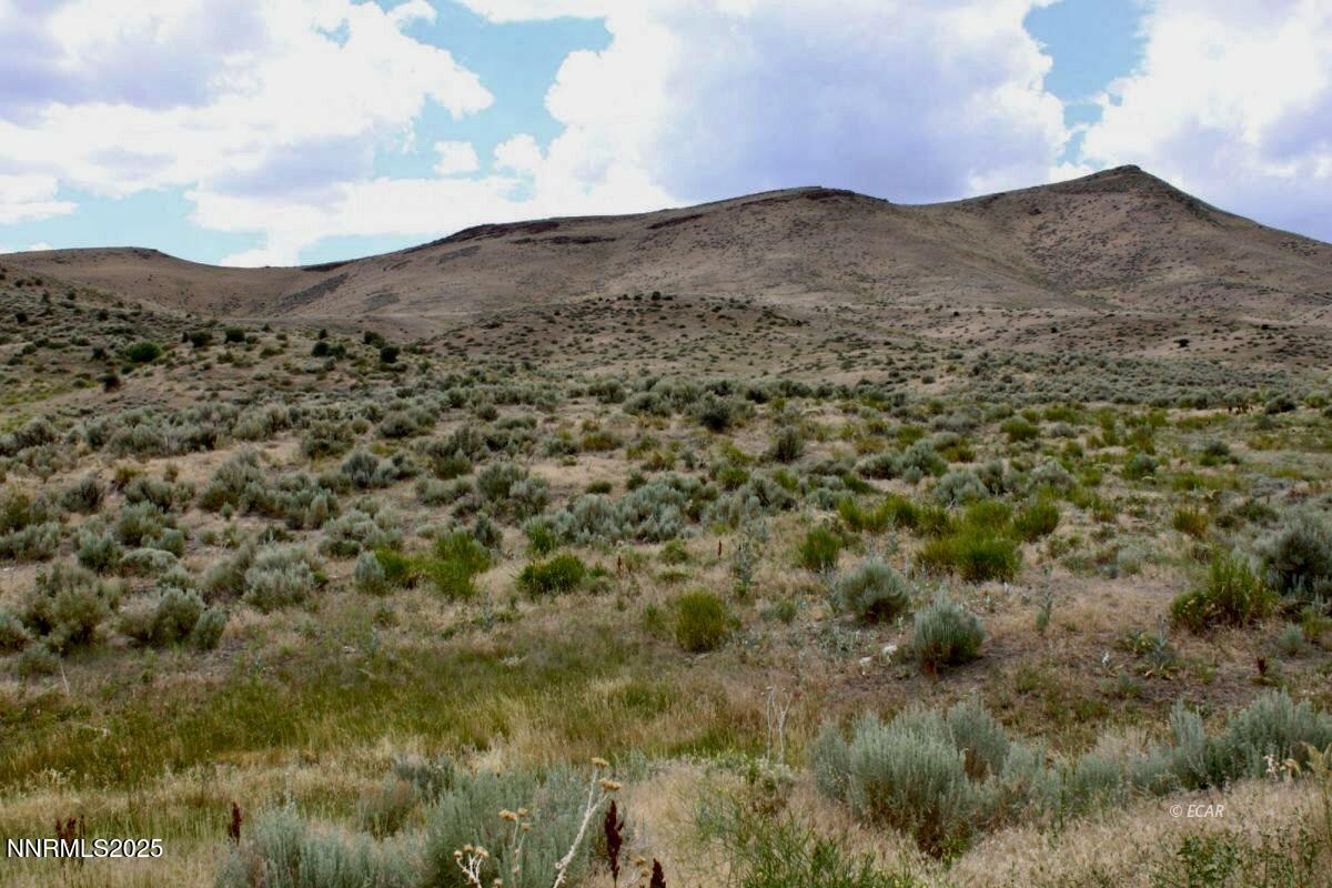 1992 Snowbowl Road Property Photo 3