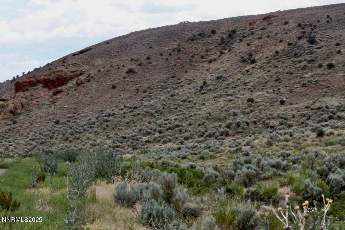 1992 Snowbowl Road Property Photo 5