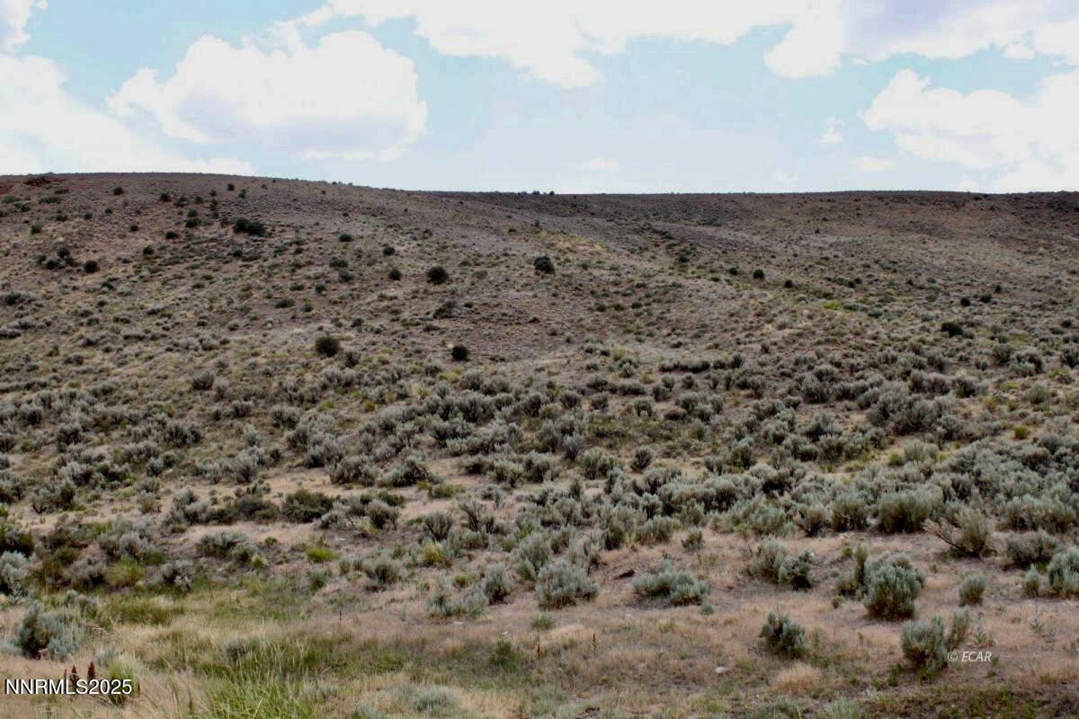 1992 Snowbowl Road Property Photo 10