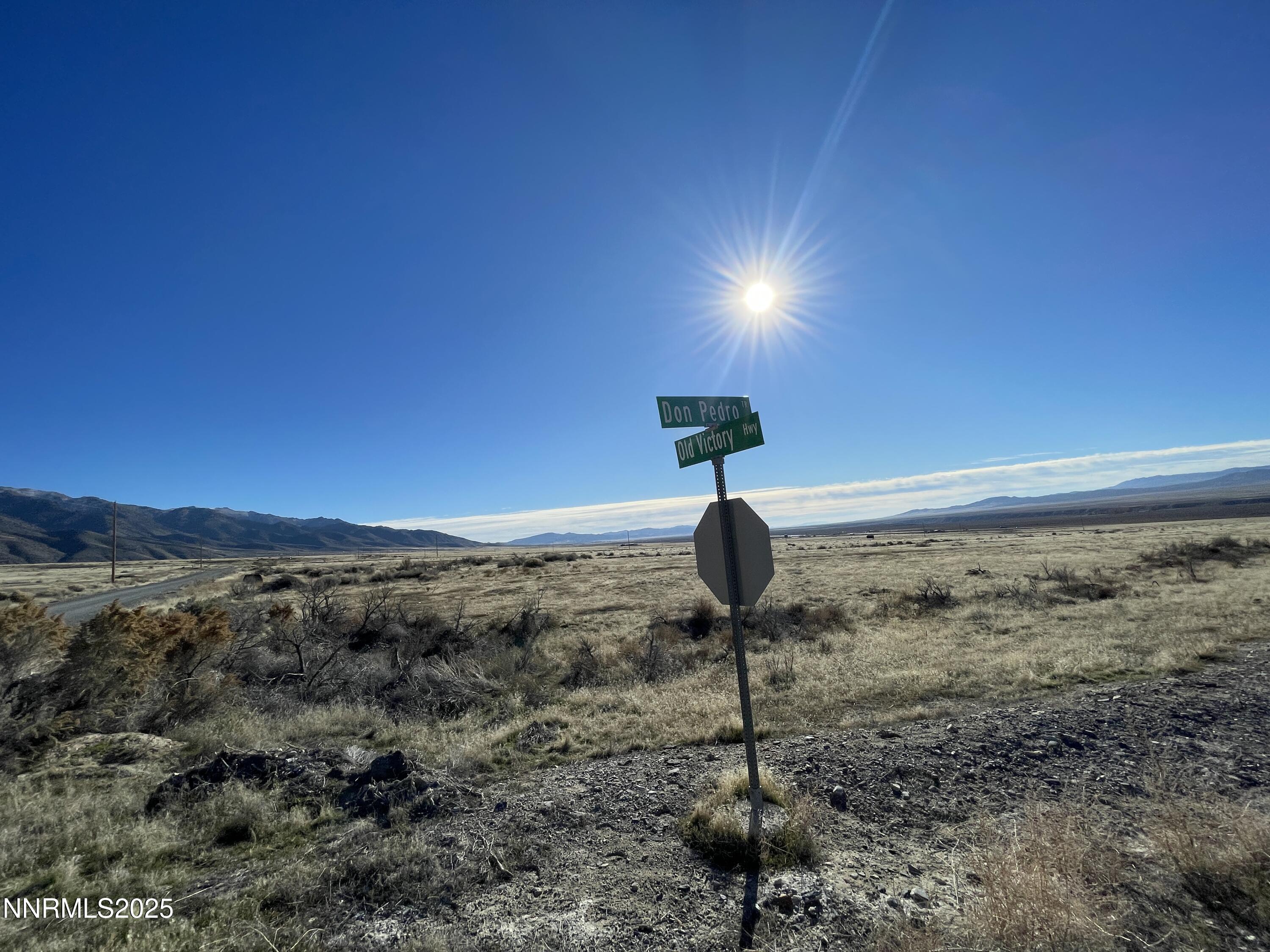 11595 Don Pedro Trail Property Photo 4