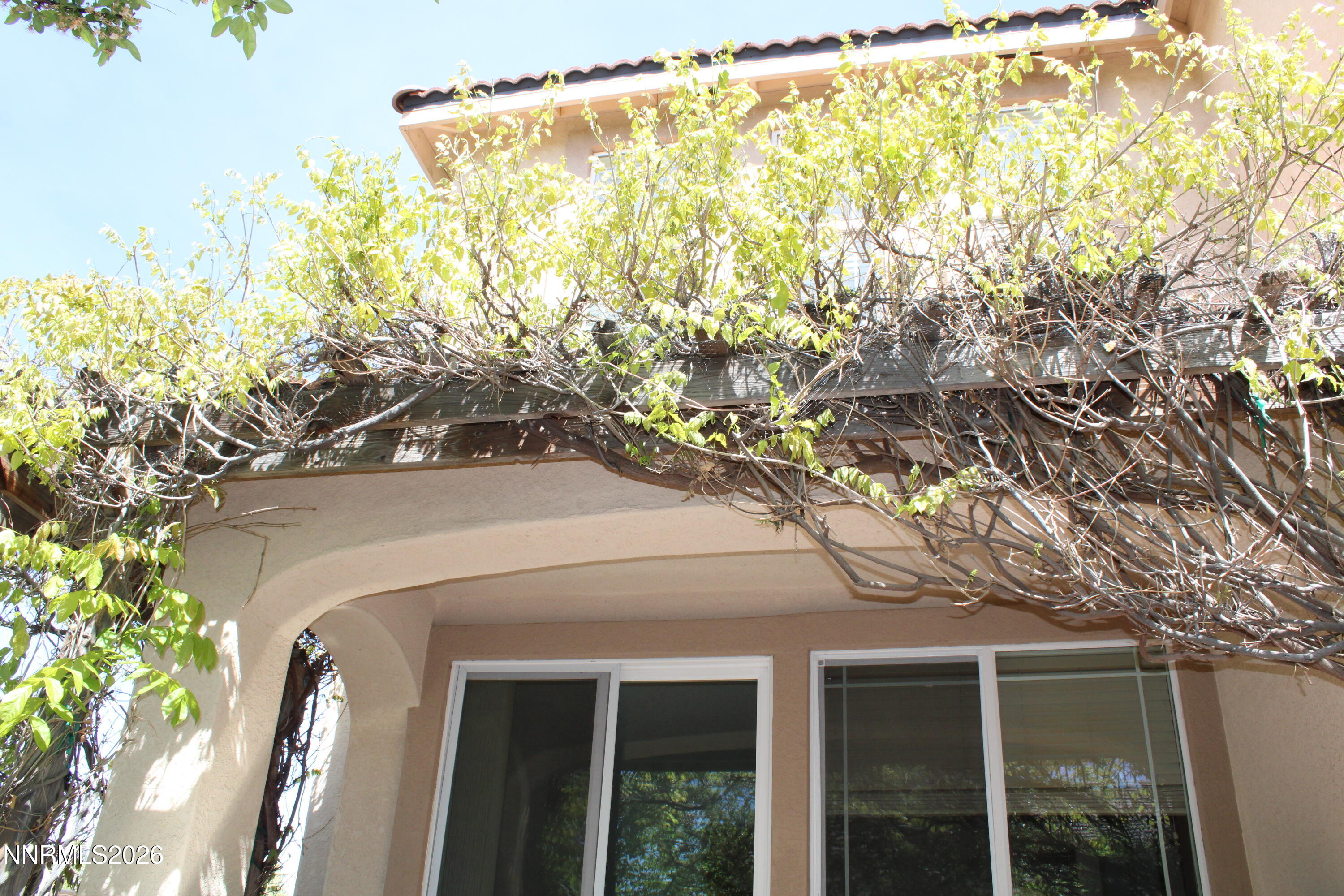 3647 Lepus Drive Property Photo 64
