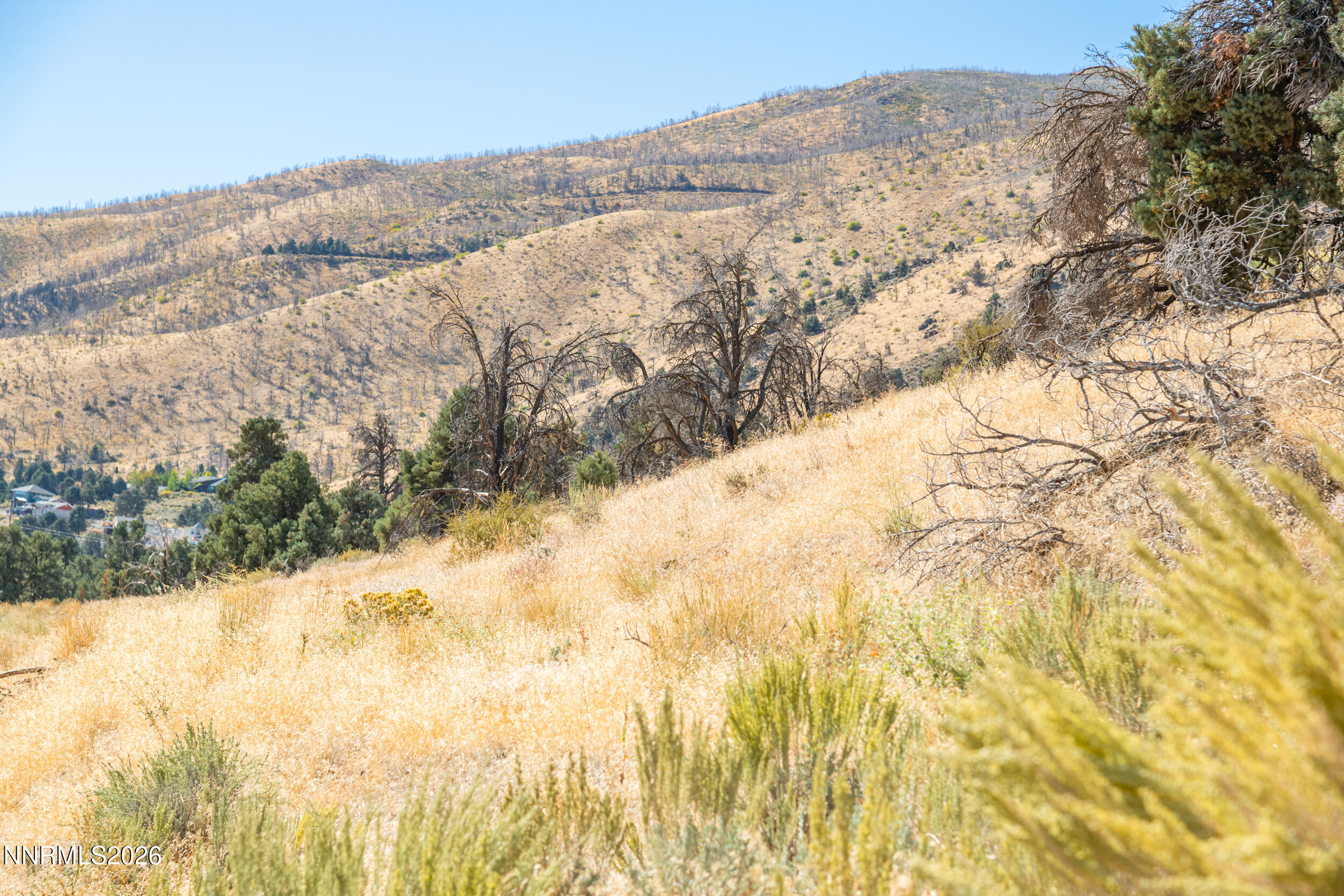 3221 Reese Lane Property Photo 3