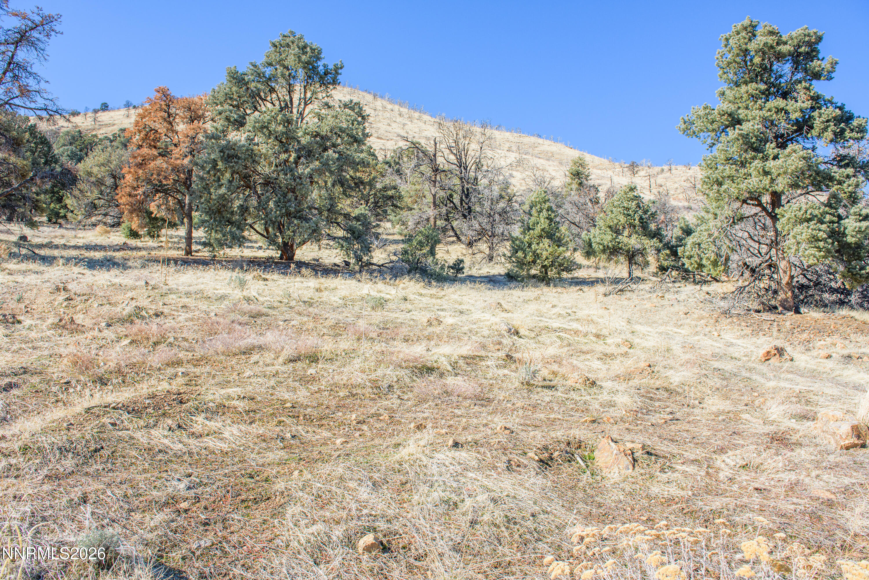 3221 Reese Lane Property Photo 32