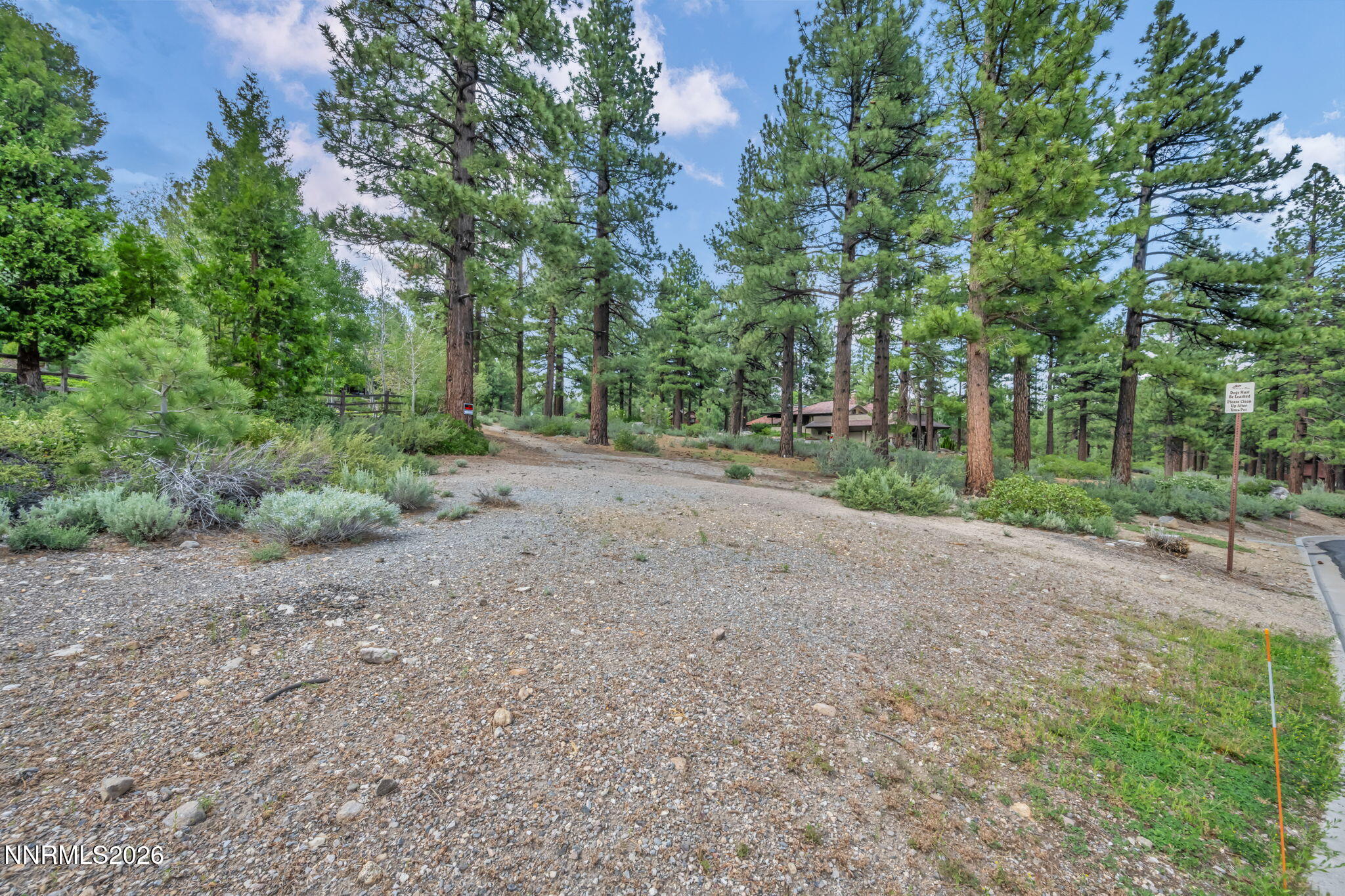 307 E Jeffrey Pine Road Property Photo 3