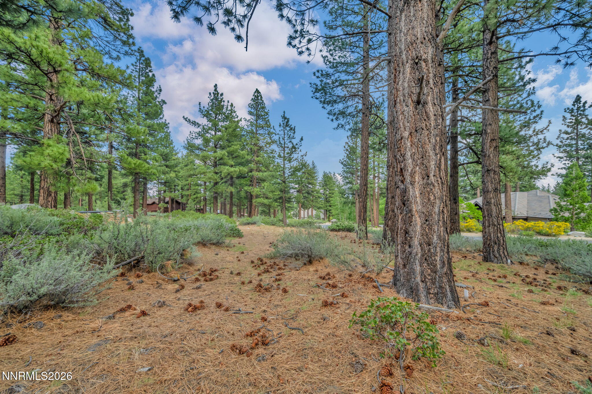 307 E Jeffrey Pine Road Property Photo 5