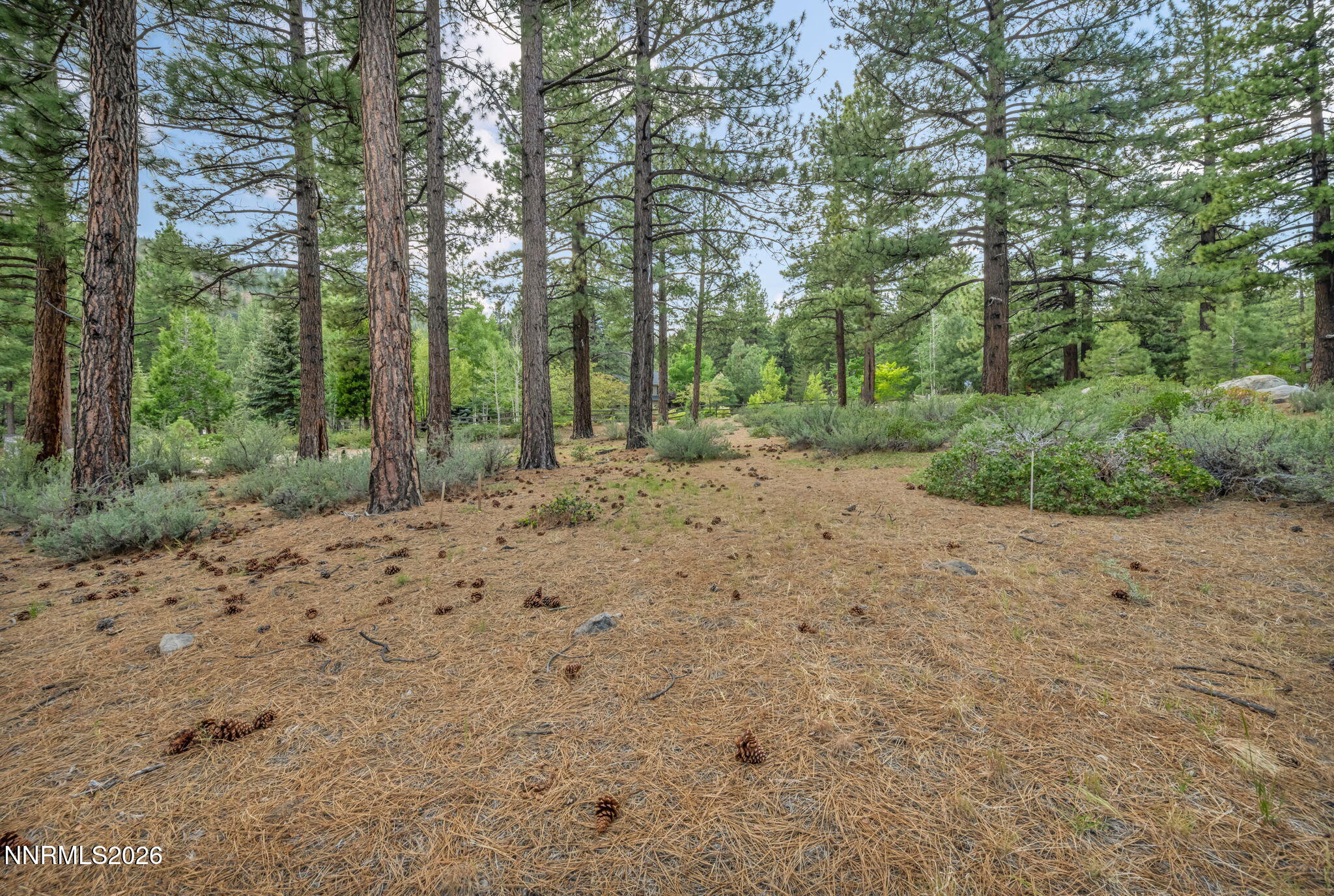 307 E Jeffrey Pine Road Property Photo 6