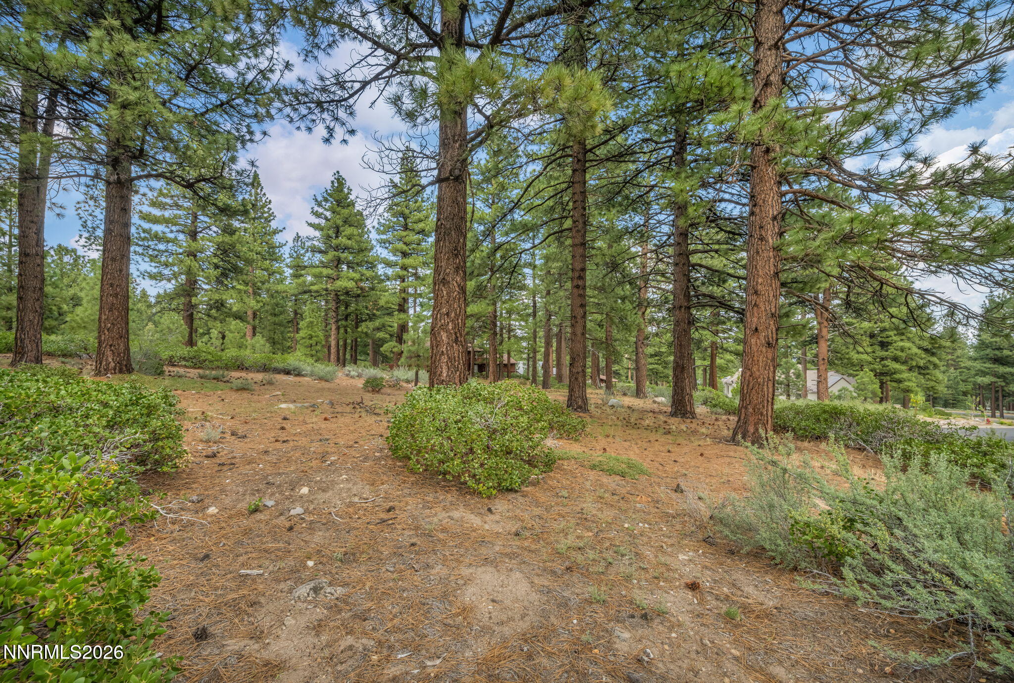 307 E Jeffrey Pine Road Property Photo 7