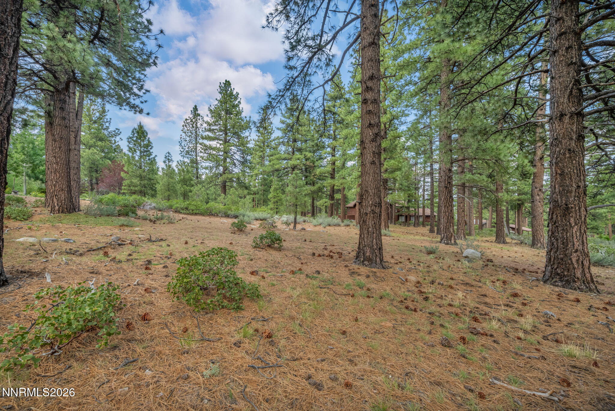 307 E Jeffrey Pine Road Property Photo 8