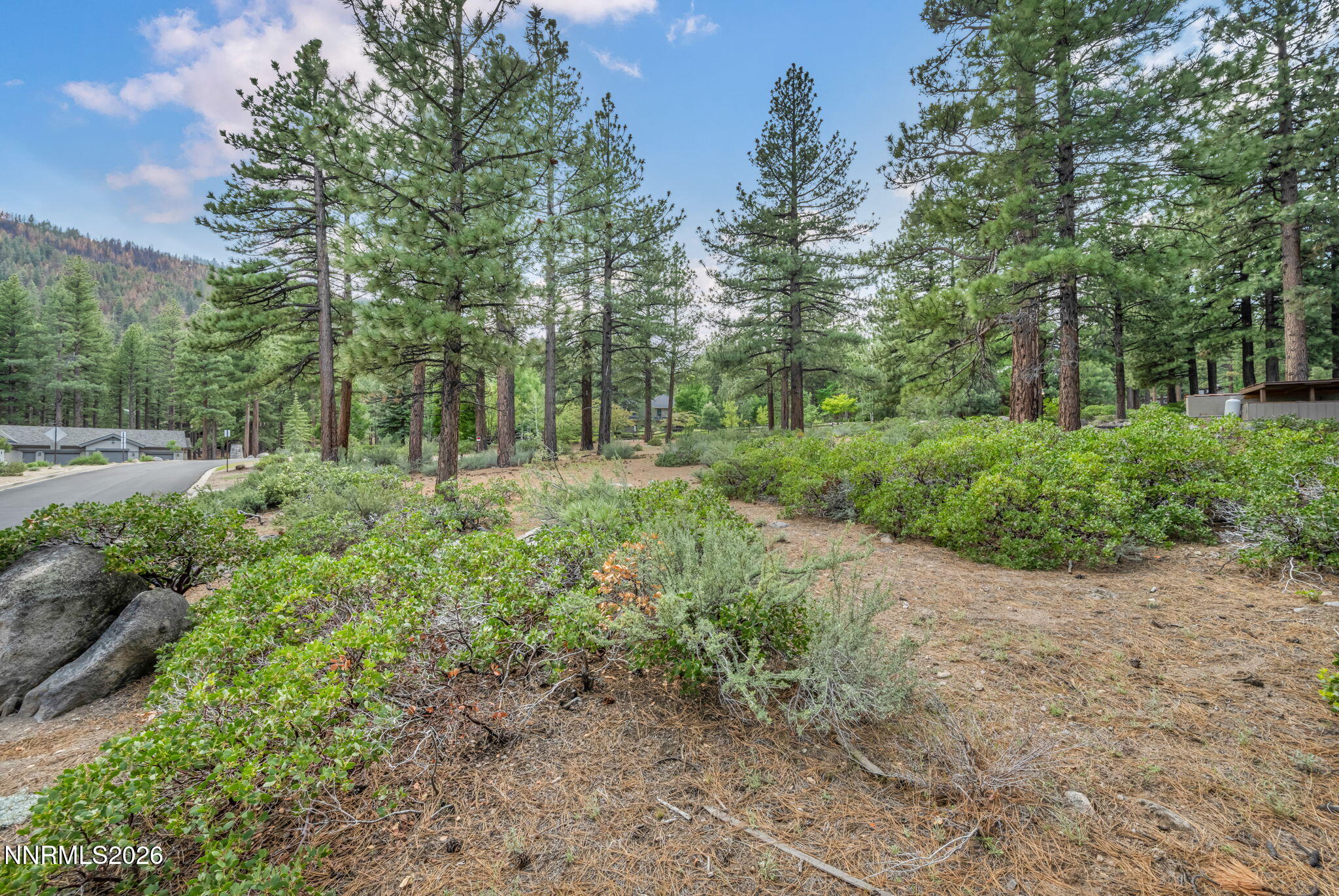 307 E Jeffrey Pine Road Property Photo 9