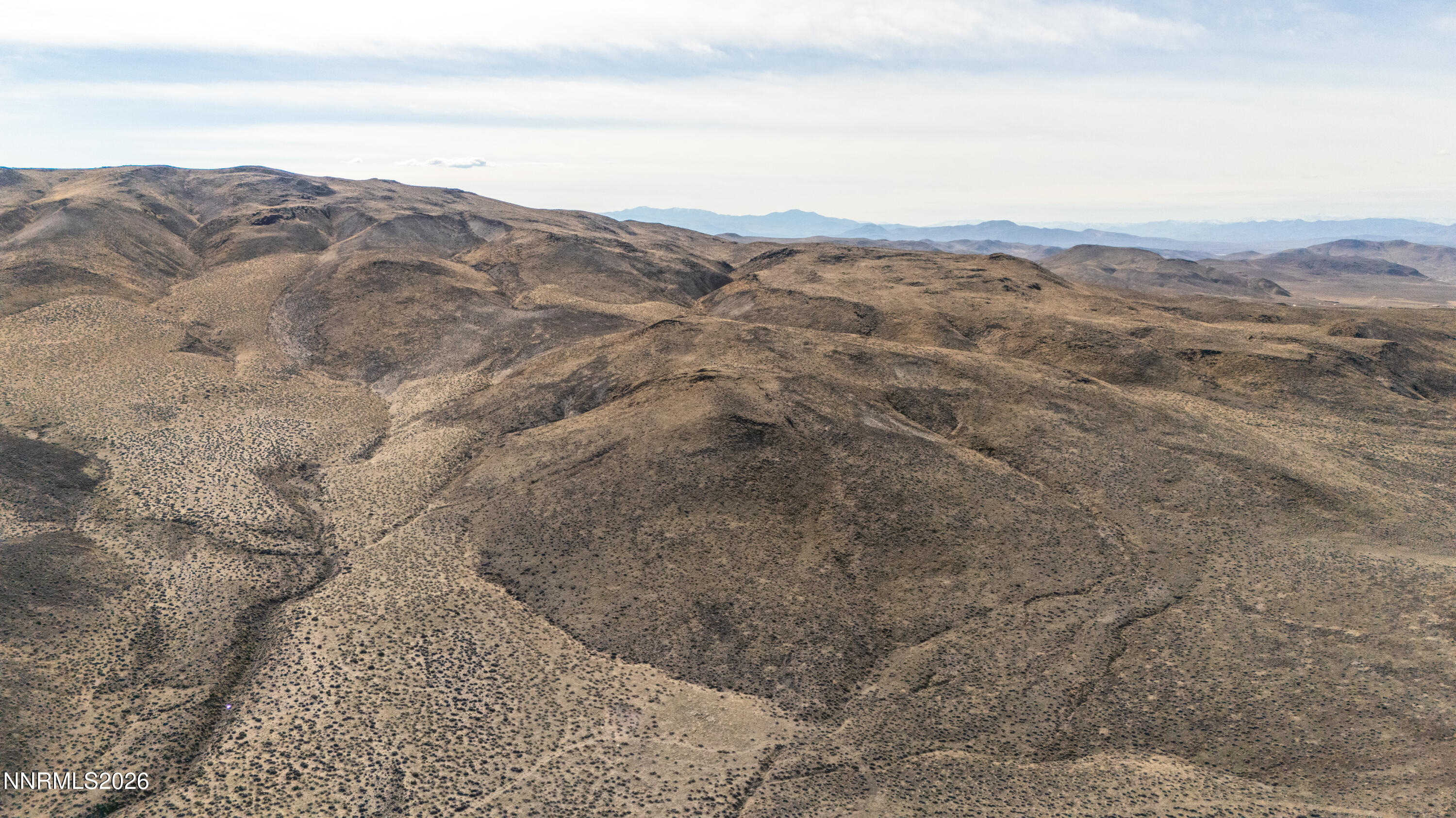 16642 Power Line Road Property Photo 5