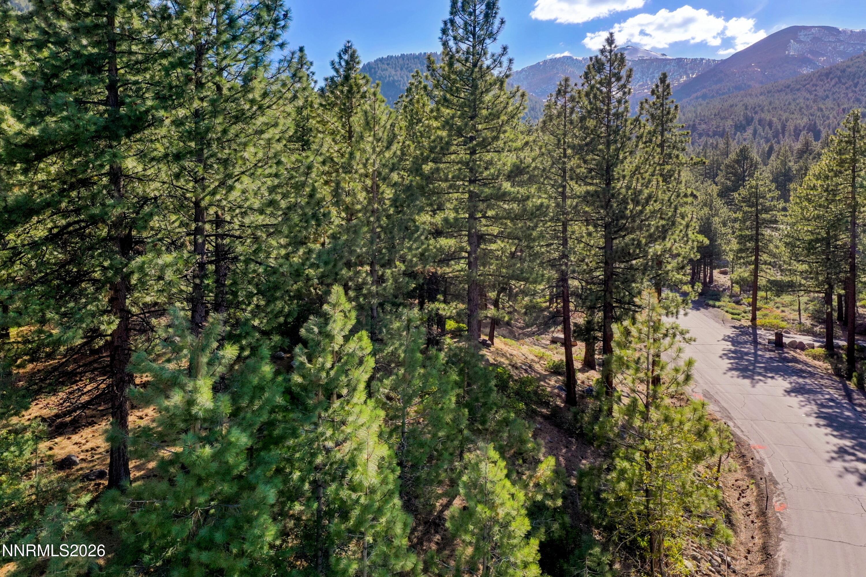 1205 Douglas Fir Drive Property Photo 6