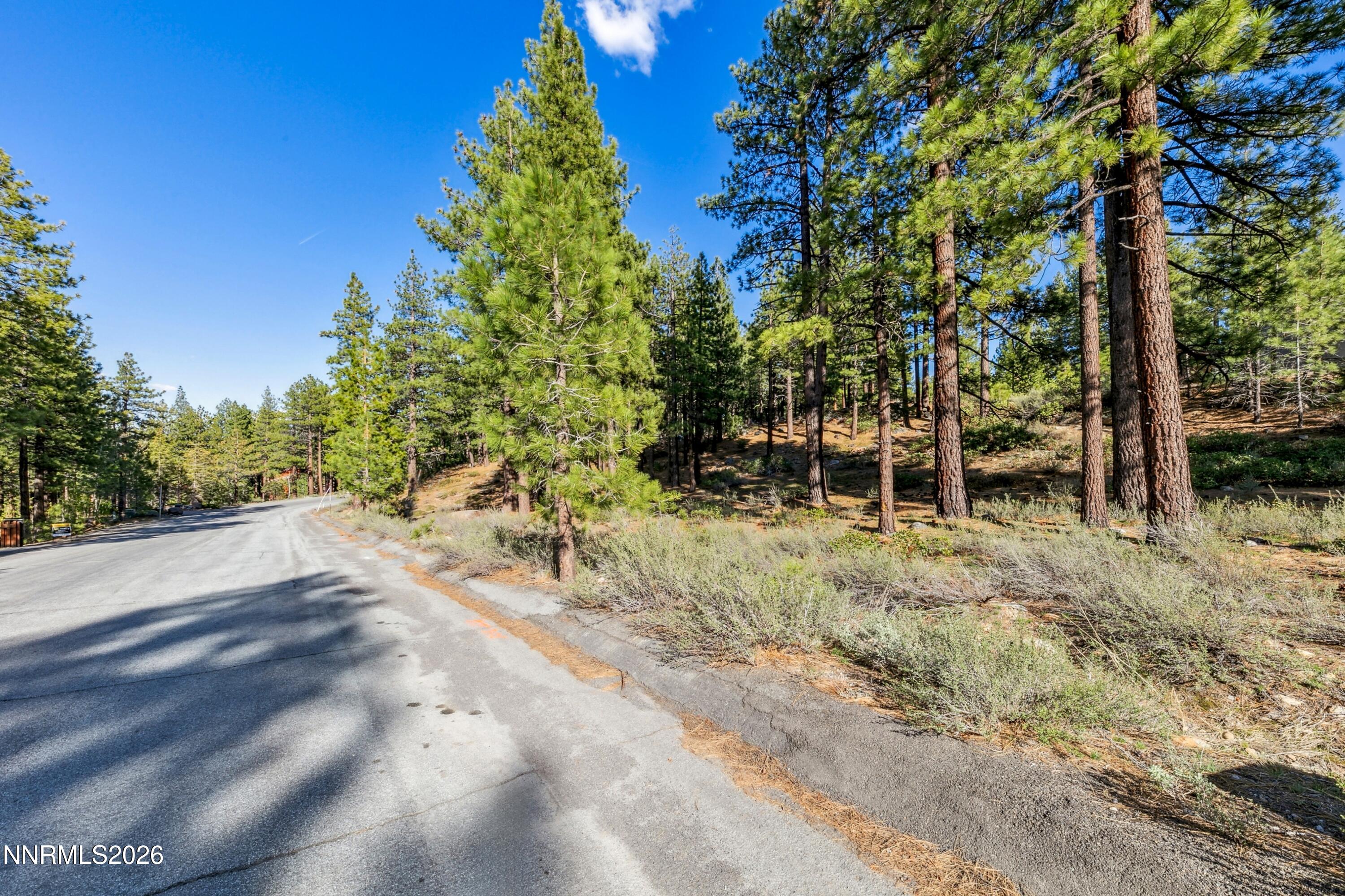 1205 Douglas Fir Drive Property Photo 7