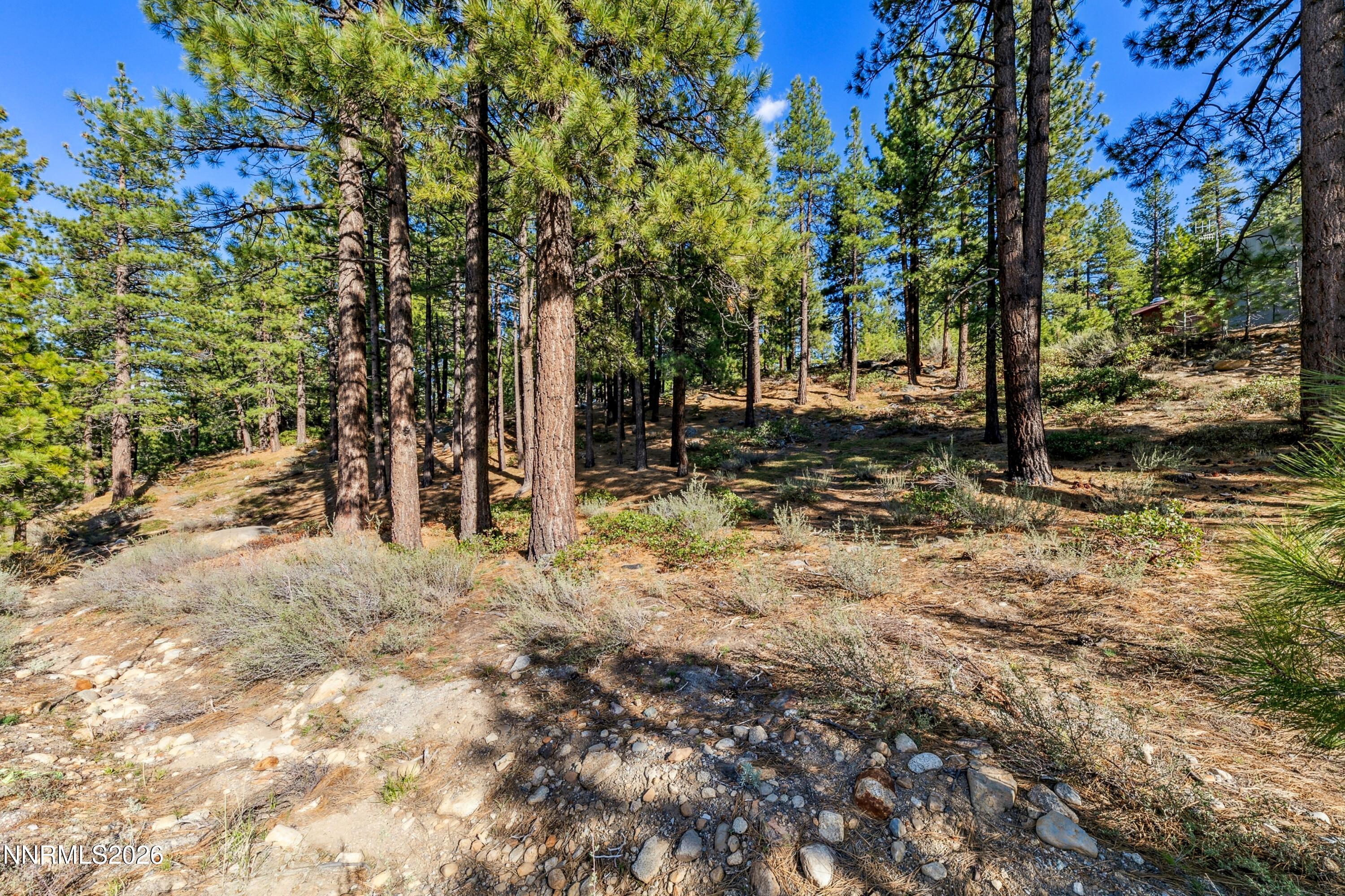 1205 Douglas Fir Drive Property Photo 8