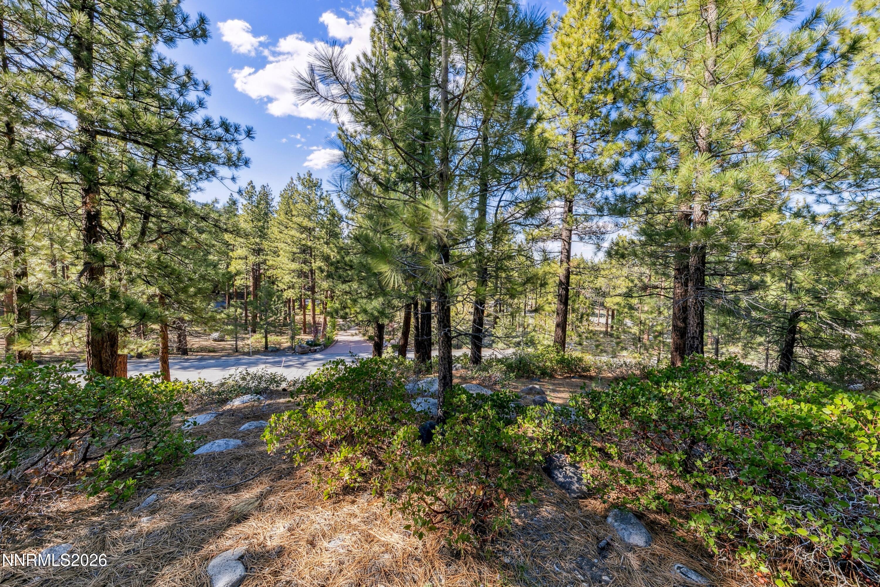 1205 Douglas Fir Drive Property Photo 10
