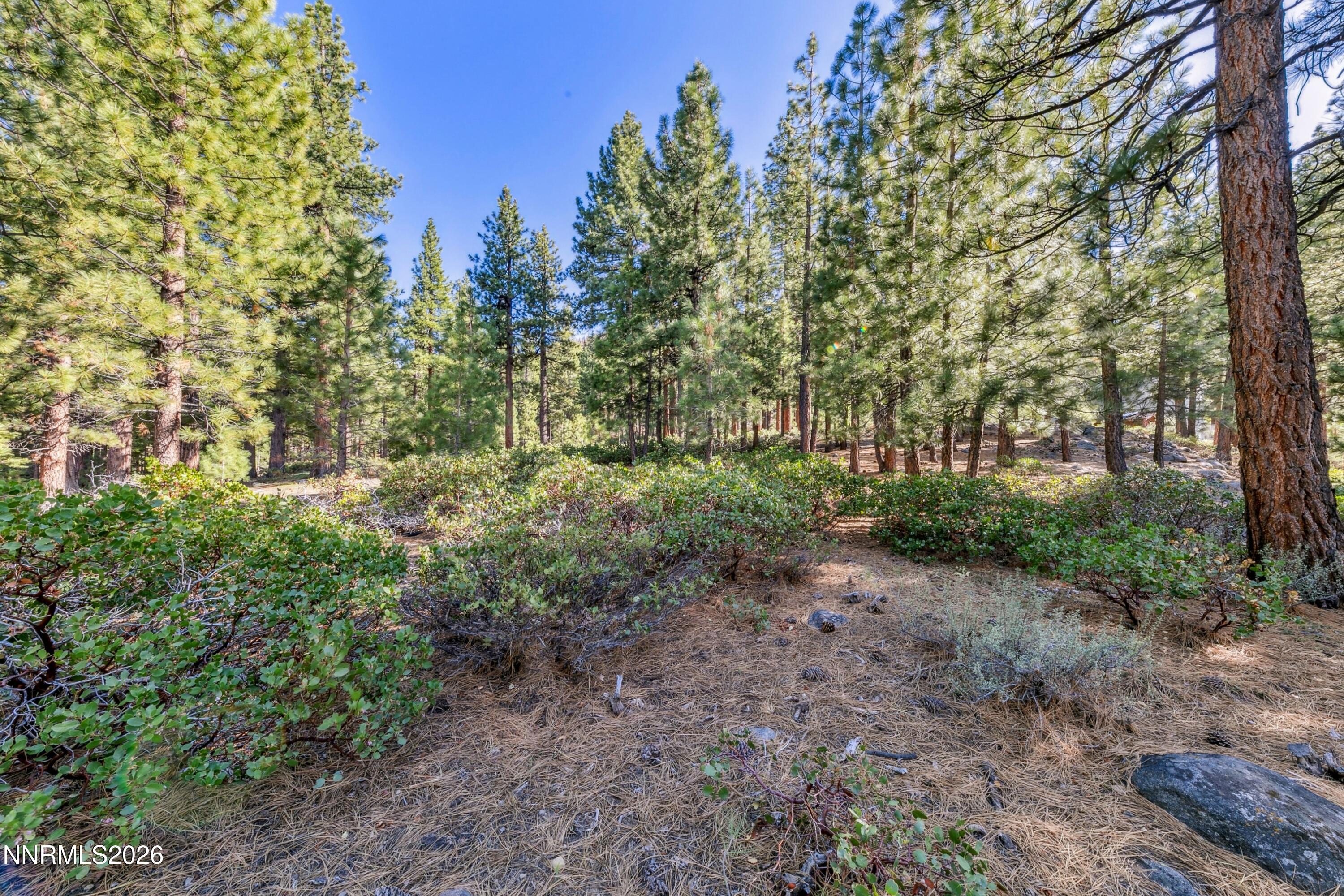 1205 Douglas Fir Drive Property Photo 11