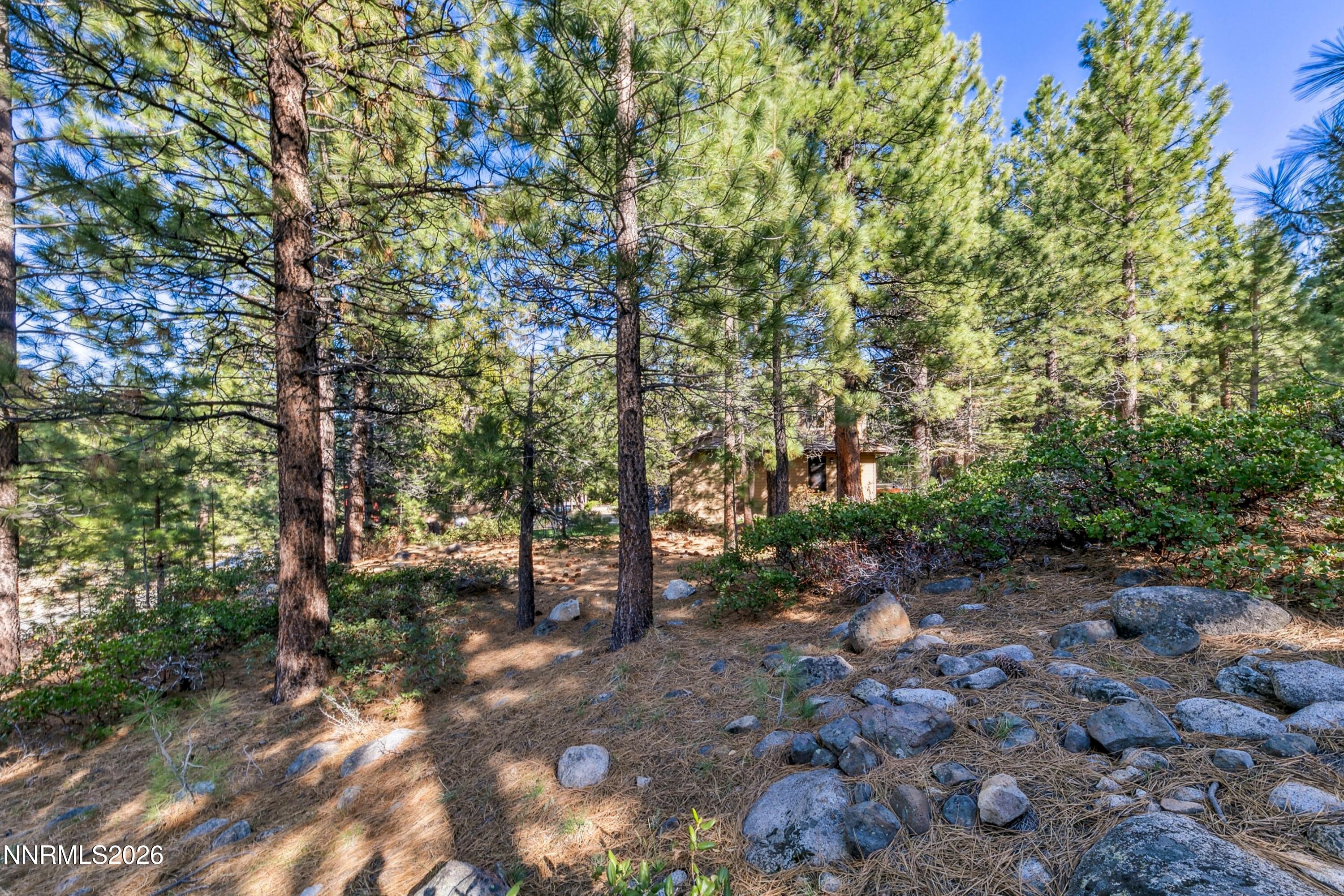 1205 Douglas Fir Drive Property Photo 12