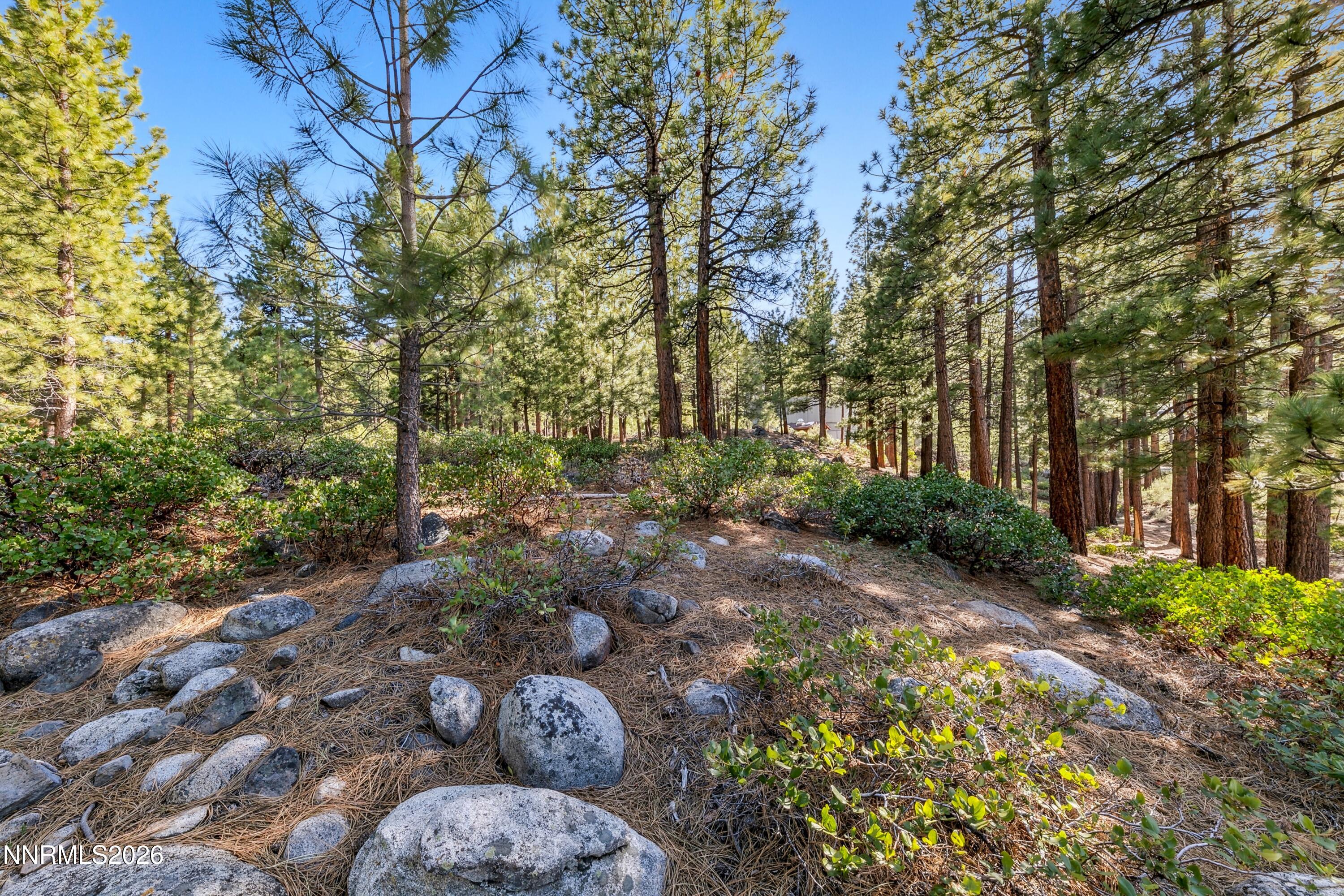 1205 Douglas Fir Drive Property Photo 13