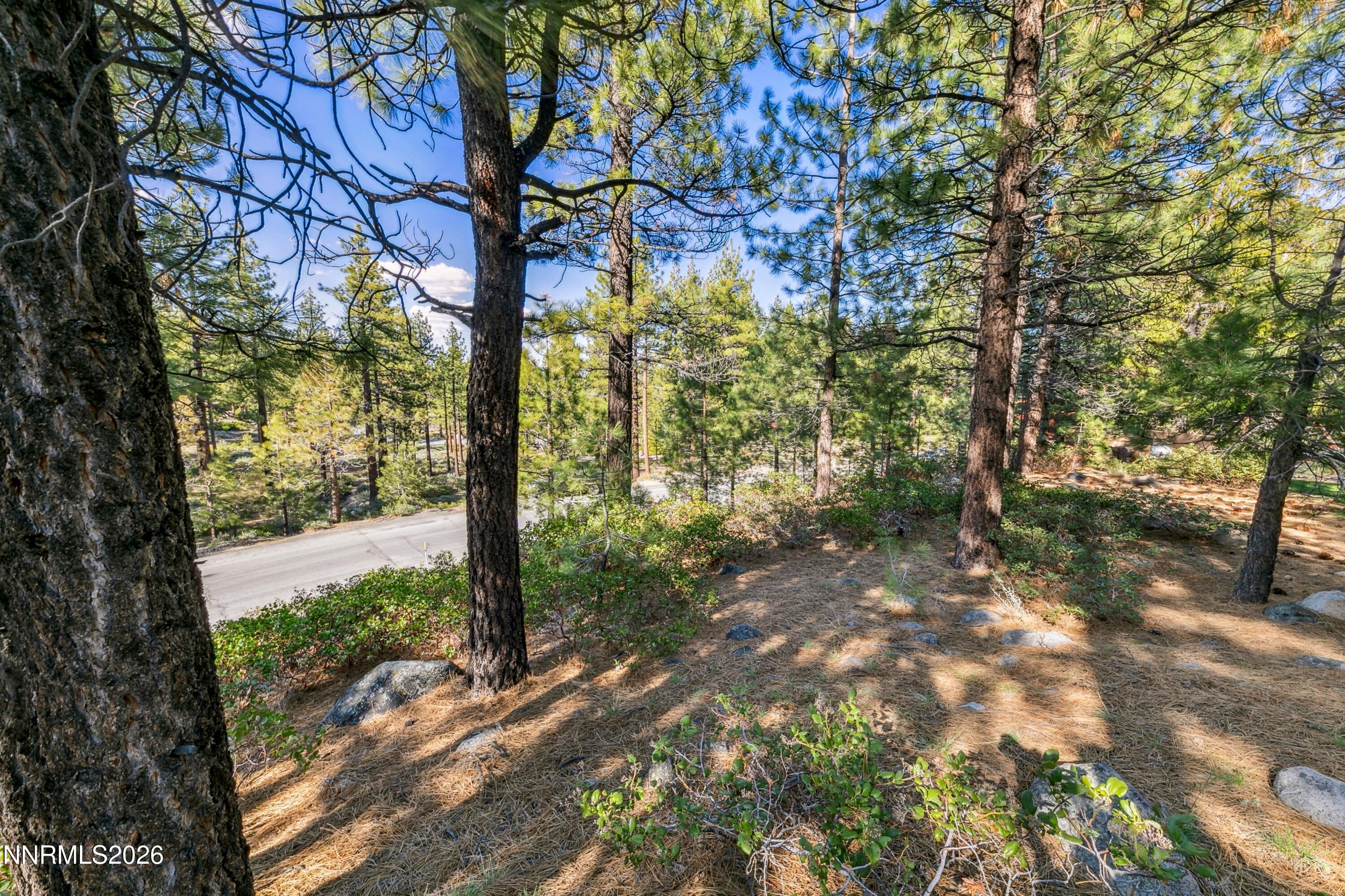 1205 Douglas Fir Drive Property Photo 15