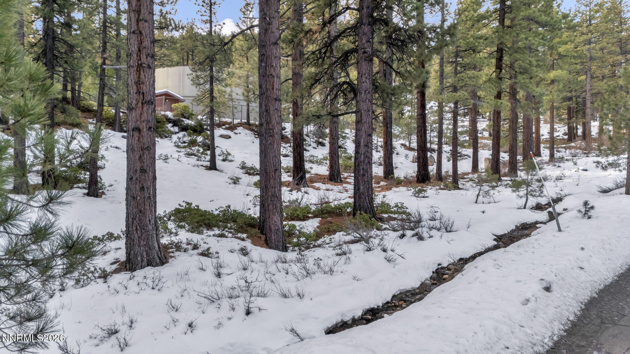 1205 Douglas Fir Drive Property Photo 23
