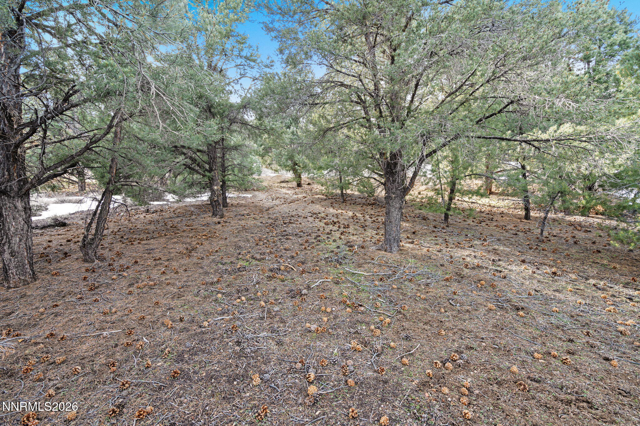 21740 Clemens Road Property Photo 12