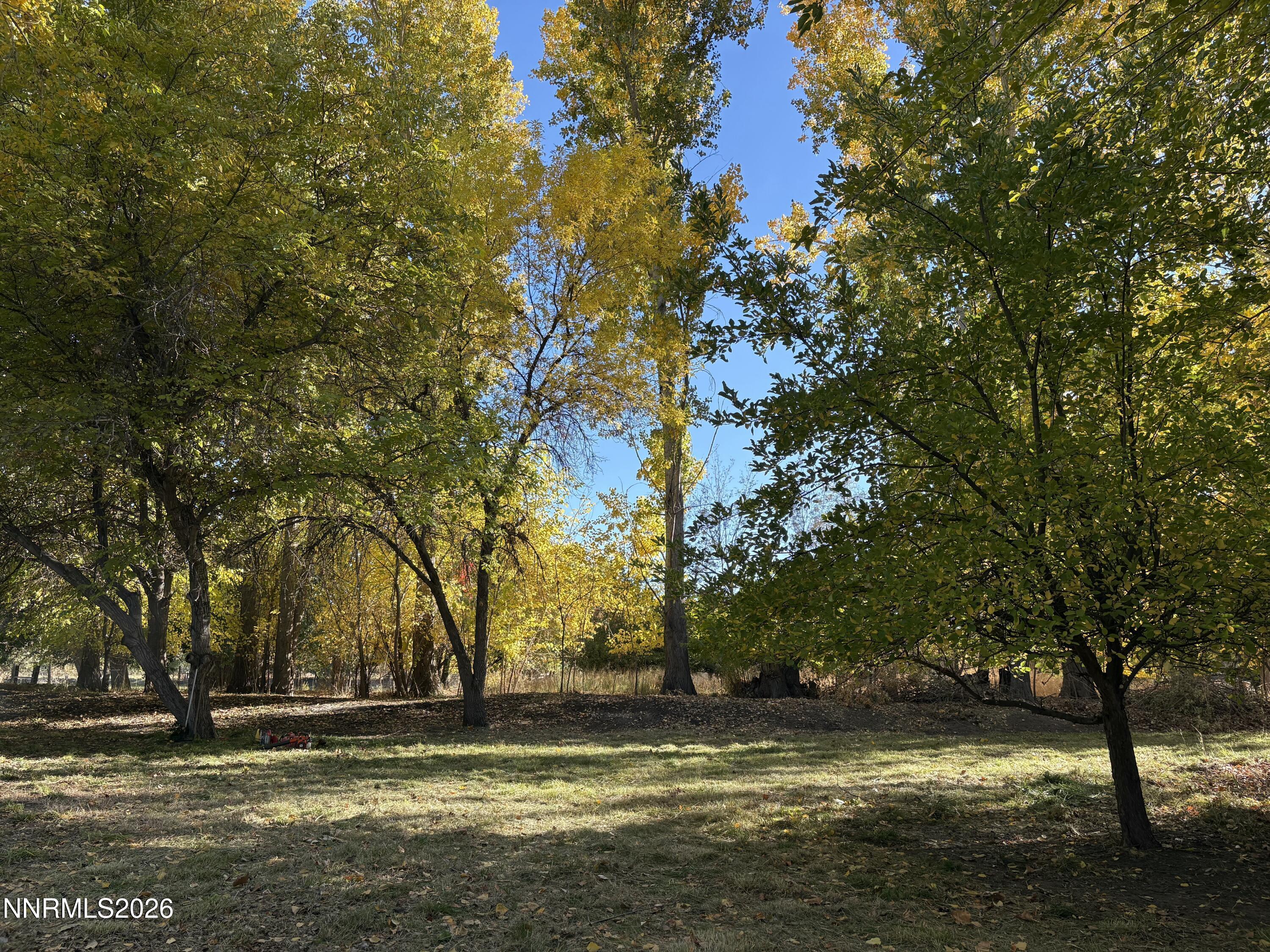 4755 Alcorn Road Property Photo 18