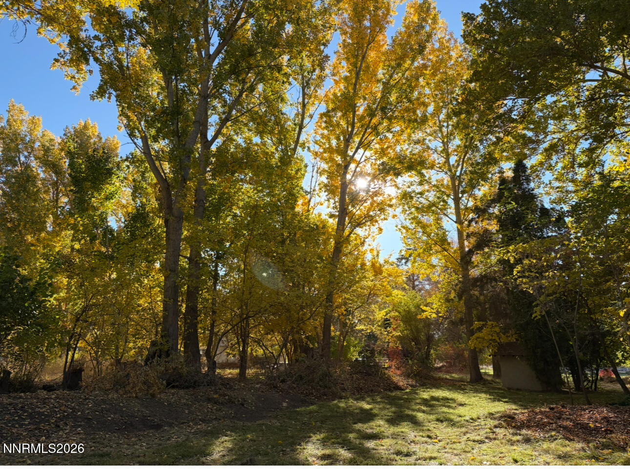 4755 Alcorn Road Property Photo 20
