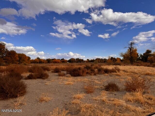 785 Wetland View Property Photo 1