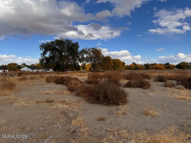 785 Wetland View Property Photo 2