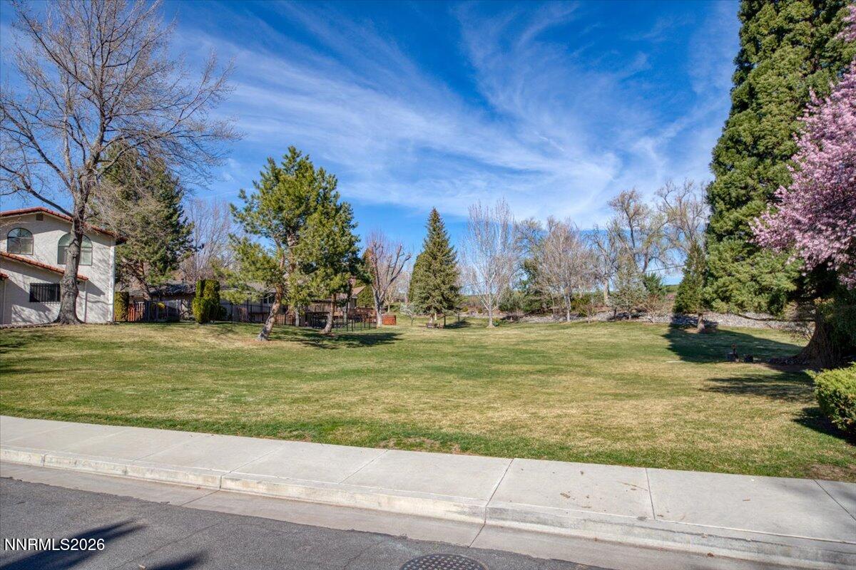 100 Moore Lane Property Photo 81