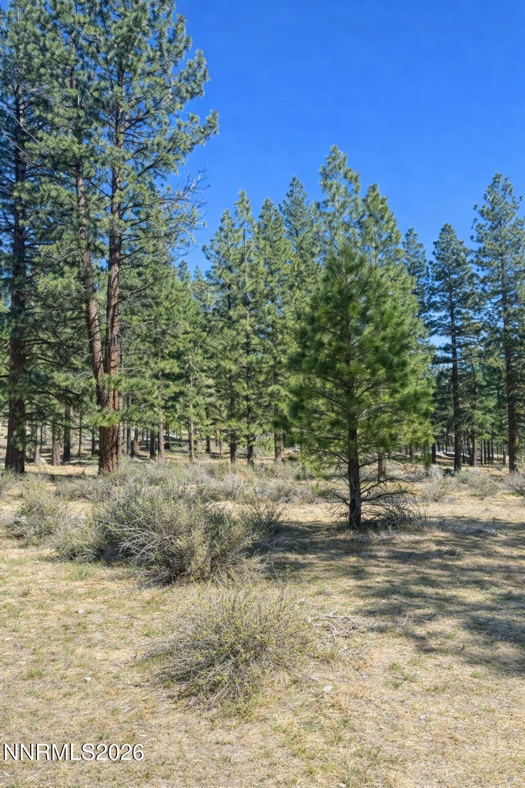 3568 Knob Pt Trail 102 Property Photo 4