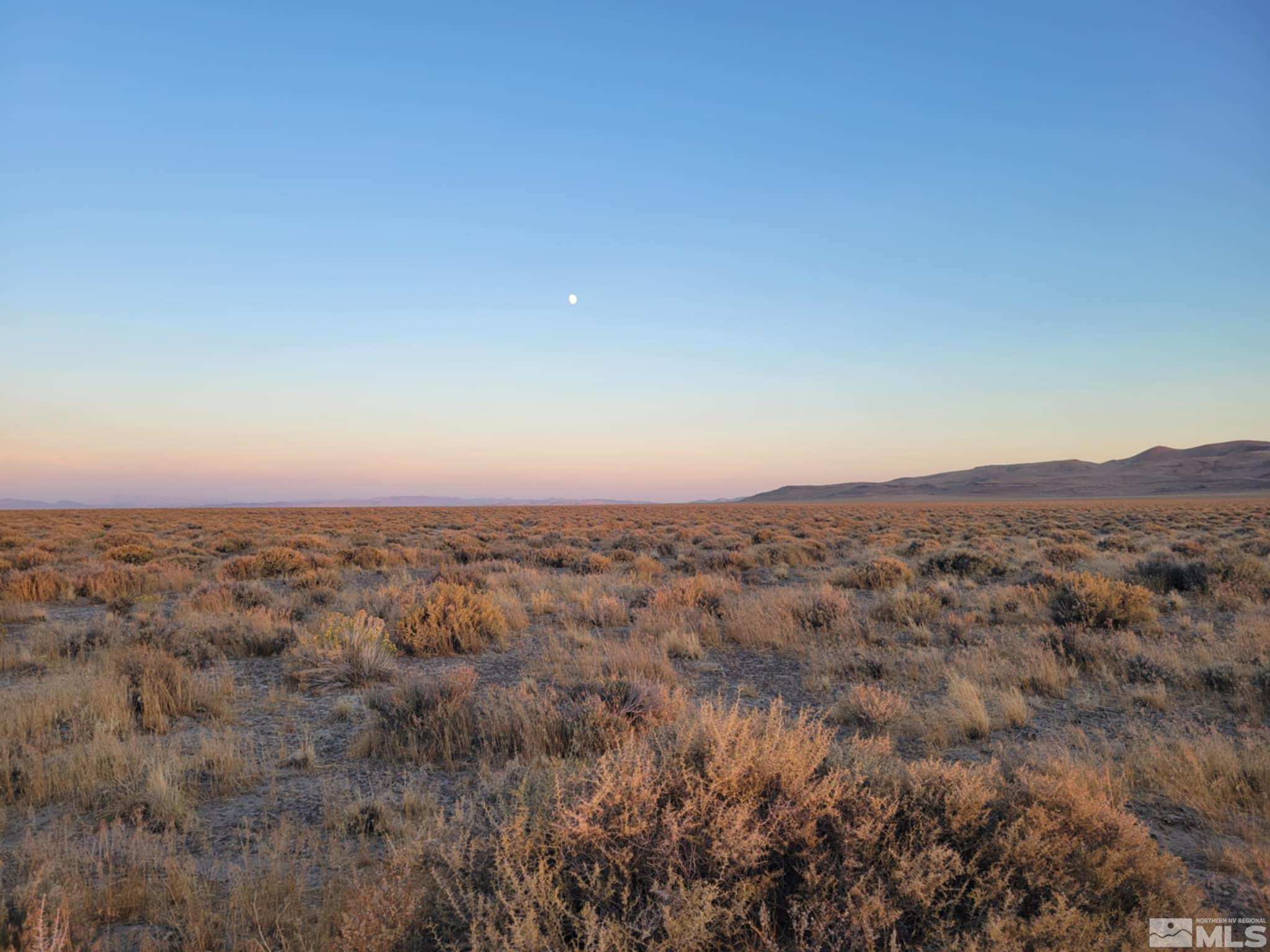 12017 Power Line Road Property Photo 3